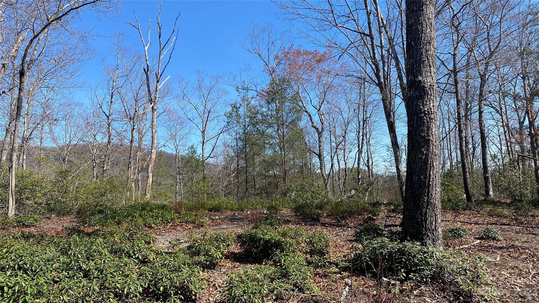 Lake Lure, NC 28746,Lot 2 Tahca PATH