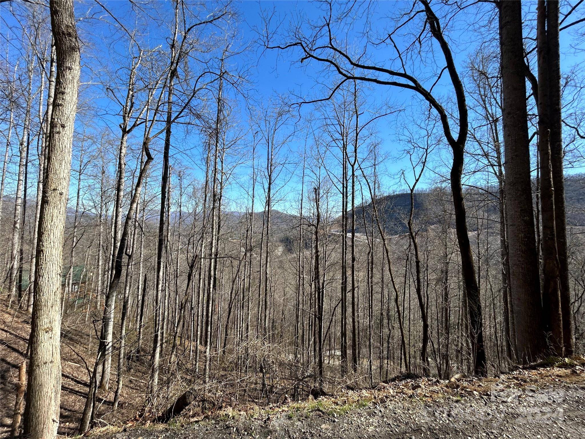 Dillsboro, NC 28725,Lot 38 Eagles Ridge RD #38