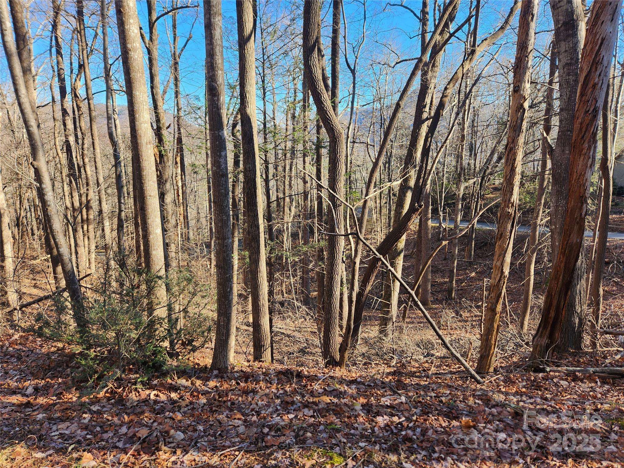 Lake Lure, NC 28746,Lot 218 Bolt RD