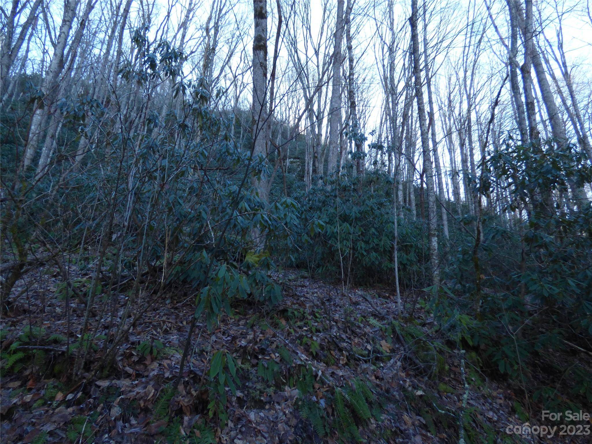 Sylva, NC 28779,000 Lori LN #H7, H8