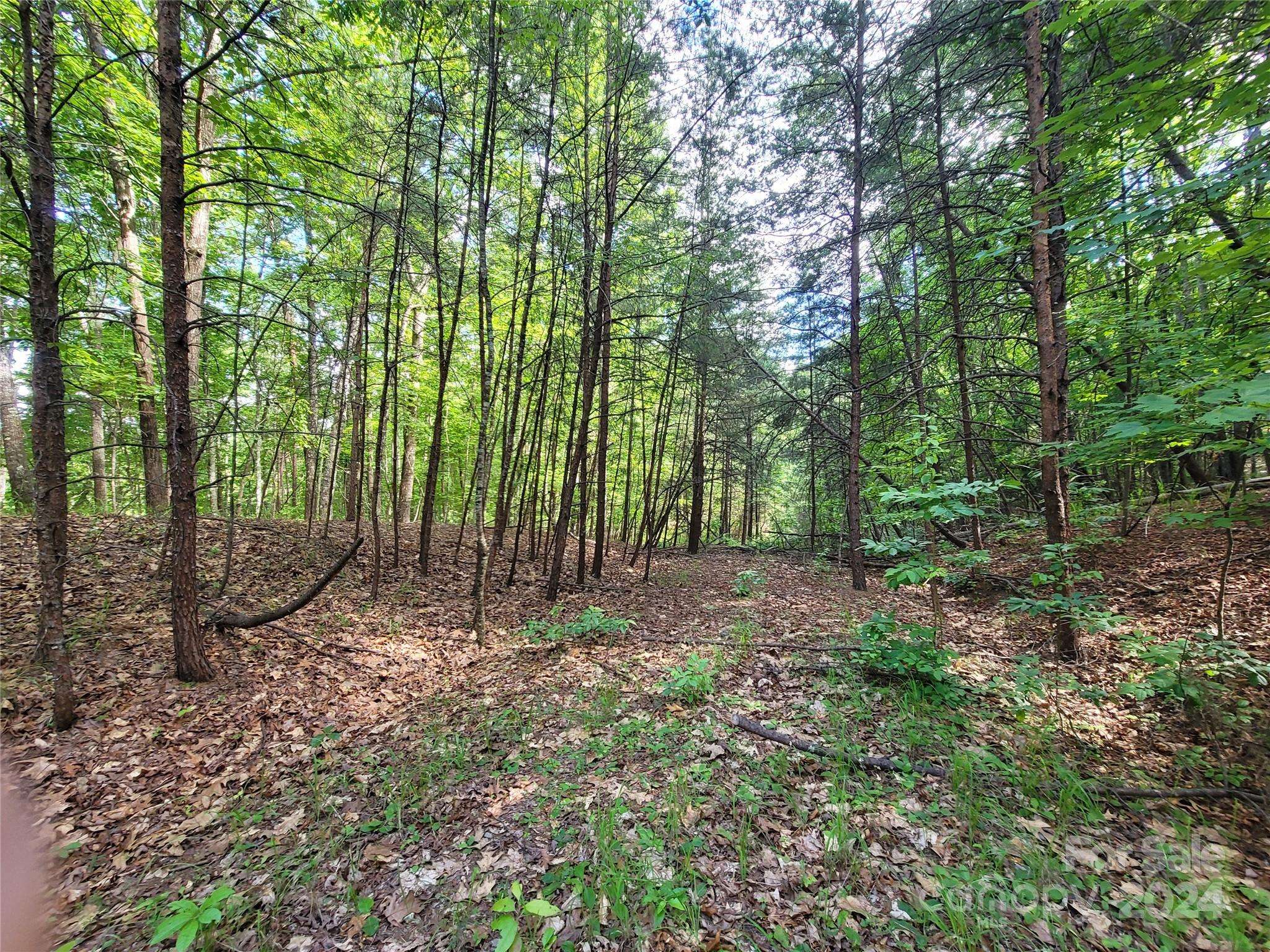 Lake Lure, NC 28746,0 Mcowenben PASS #23