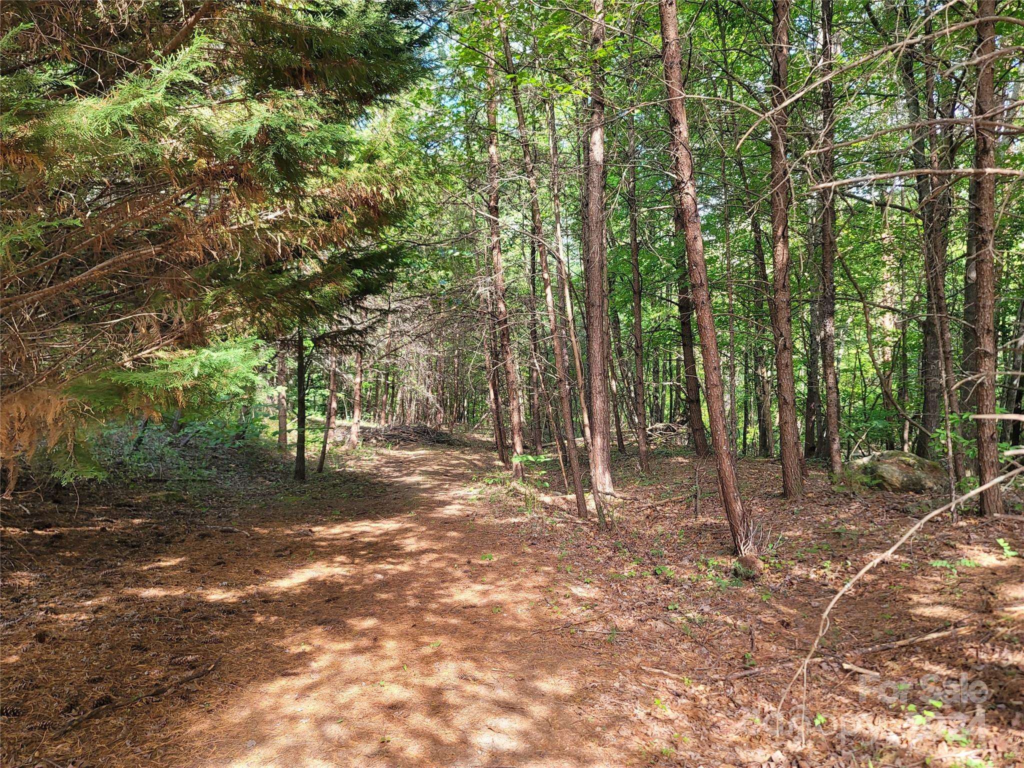 Lake Lure, NC 28746,0 Mcowenben PASS #19