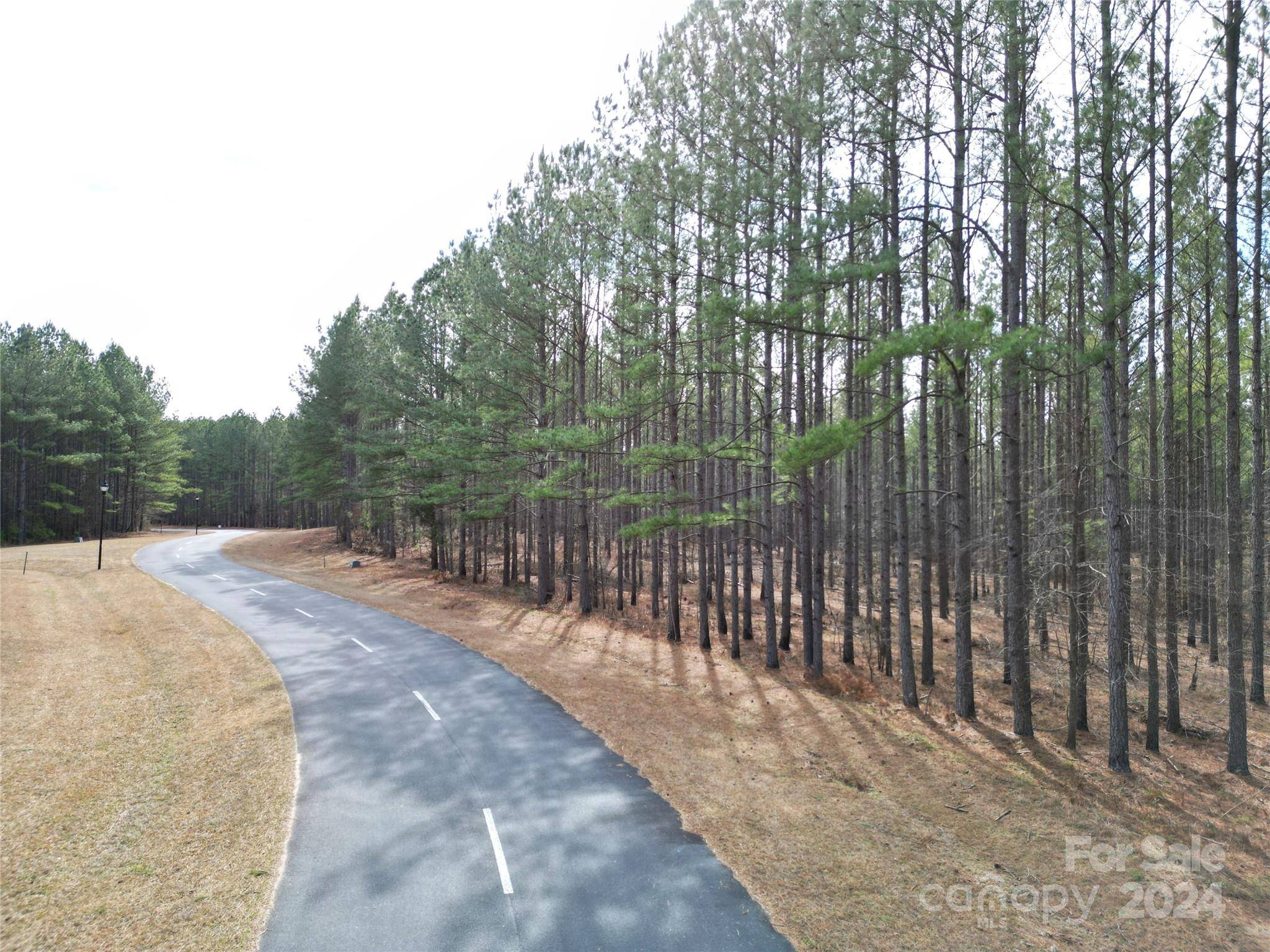 Lilesville, NC 28091,TBD Spencer Pointe RD #Lot 21A