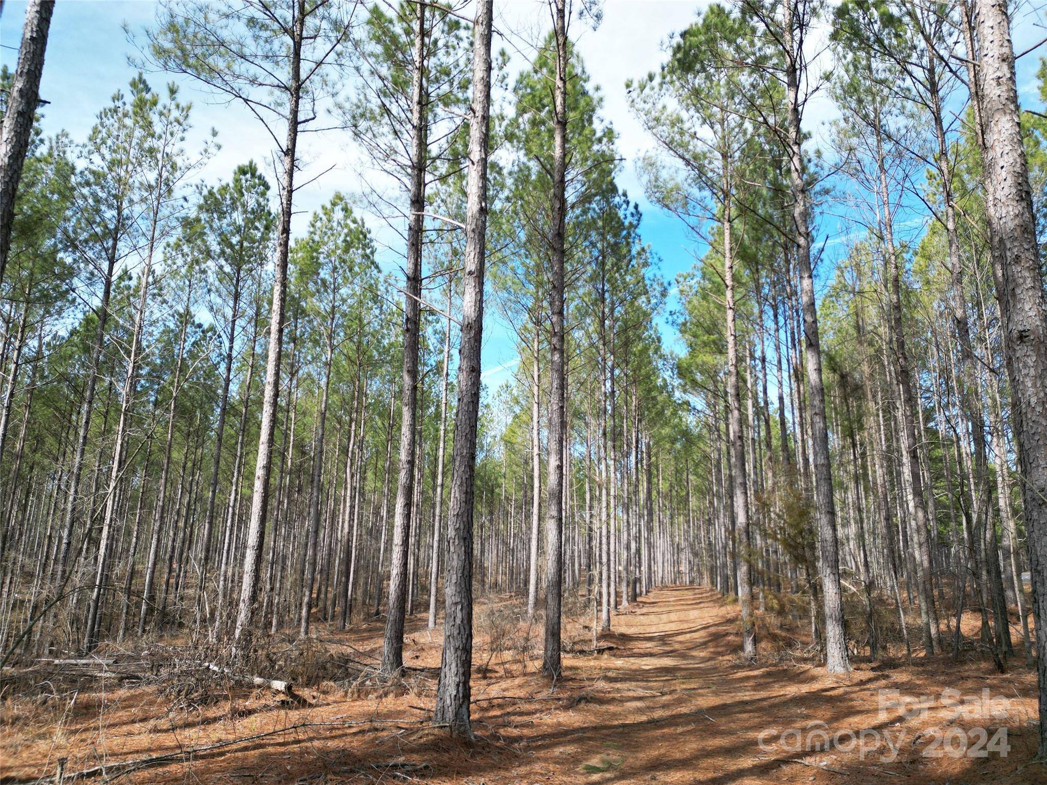 Lilesville, NC 28091,TBD Spencer Pointe RD #Lot 20C