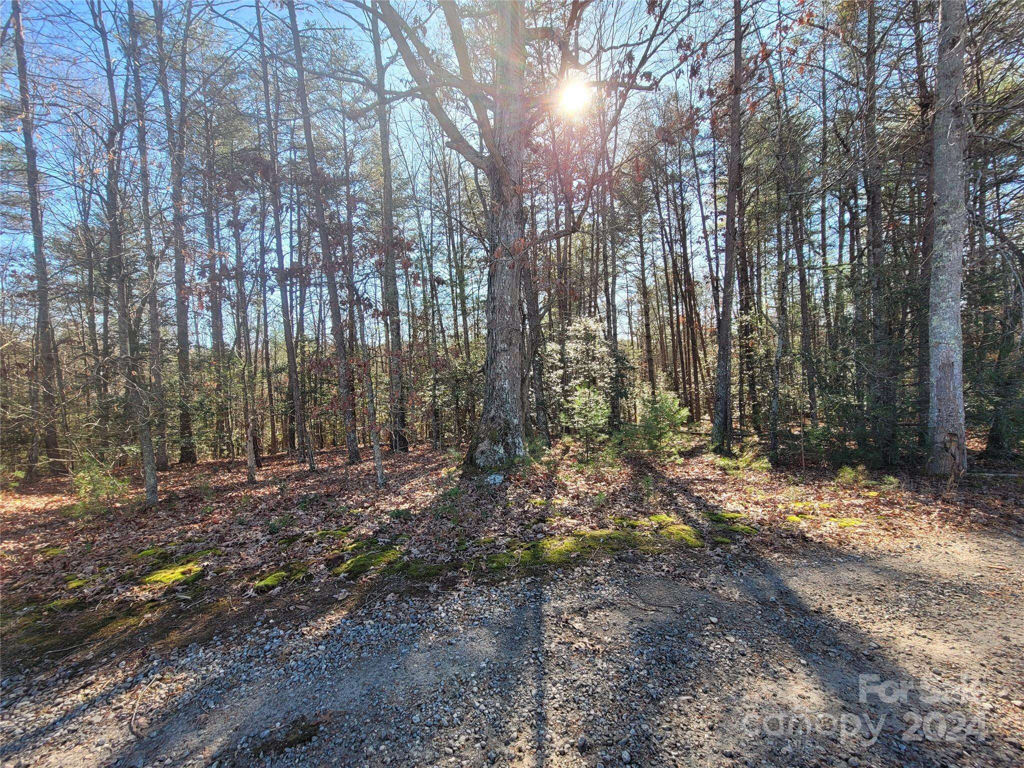 Morganton, NC 28655,0 Ronnie Fox RD