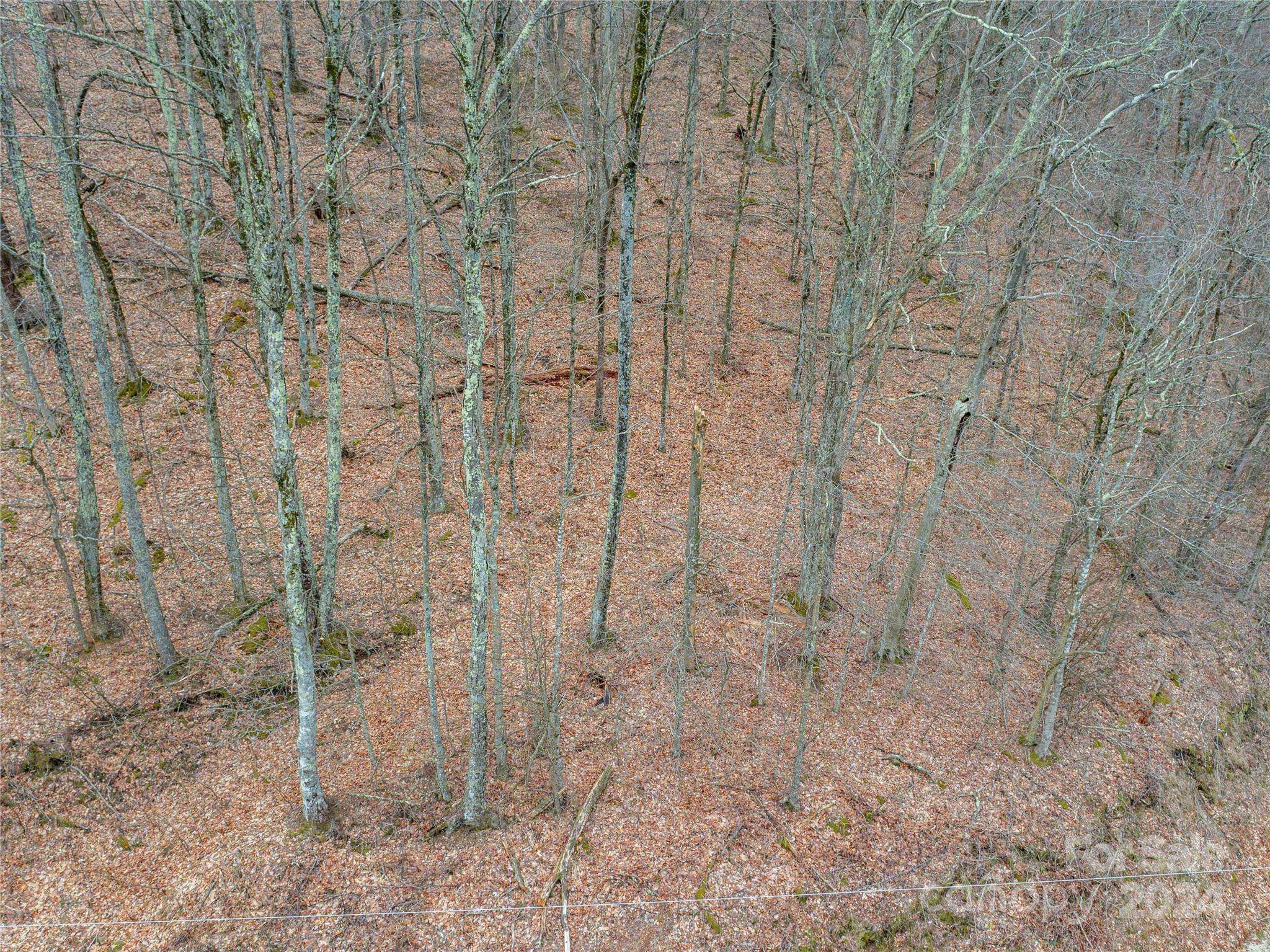Mars Hill, NC 28754,00 Chestnut LN #100