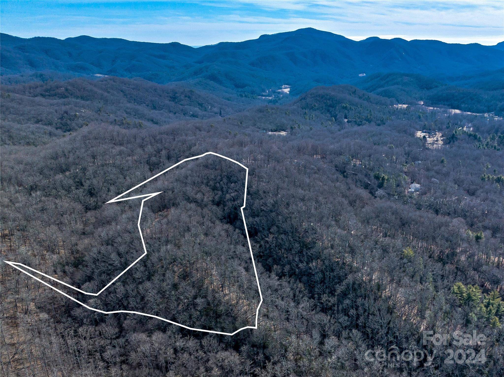 Fairview, NC 28730,99999 Flat Creek RD