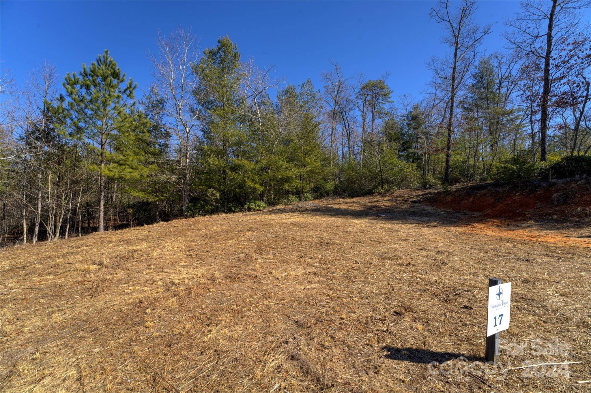 Nebo, NC 28761,93 Ridge Point RD #17