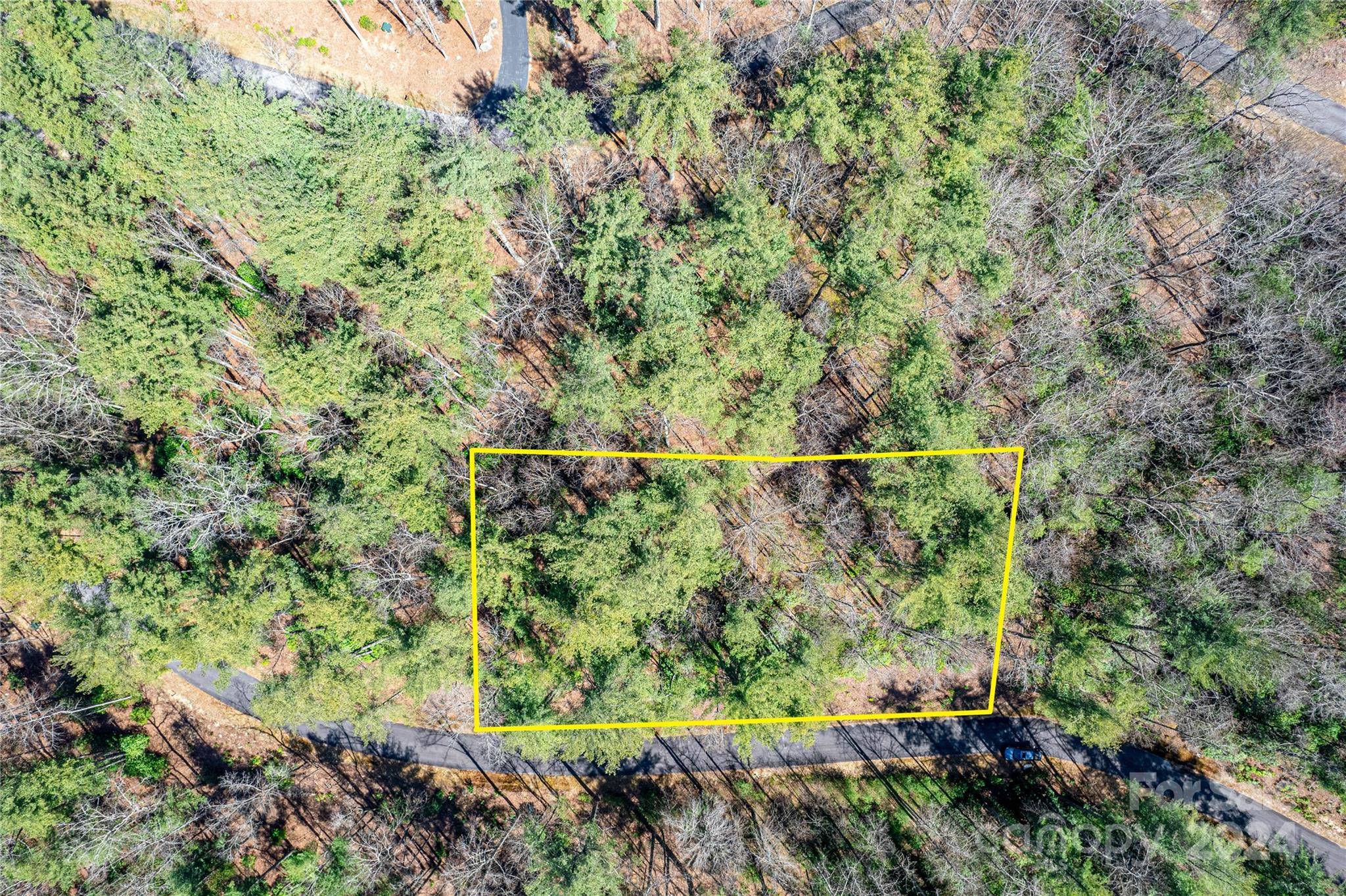 Zirconia, NC 28790,0 Huckleberry Ridge LN #119