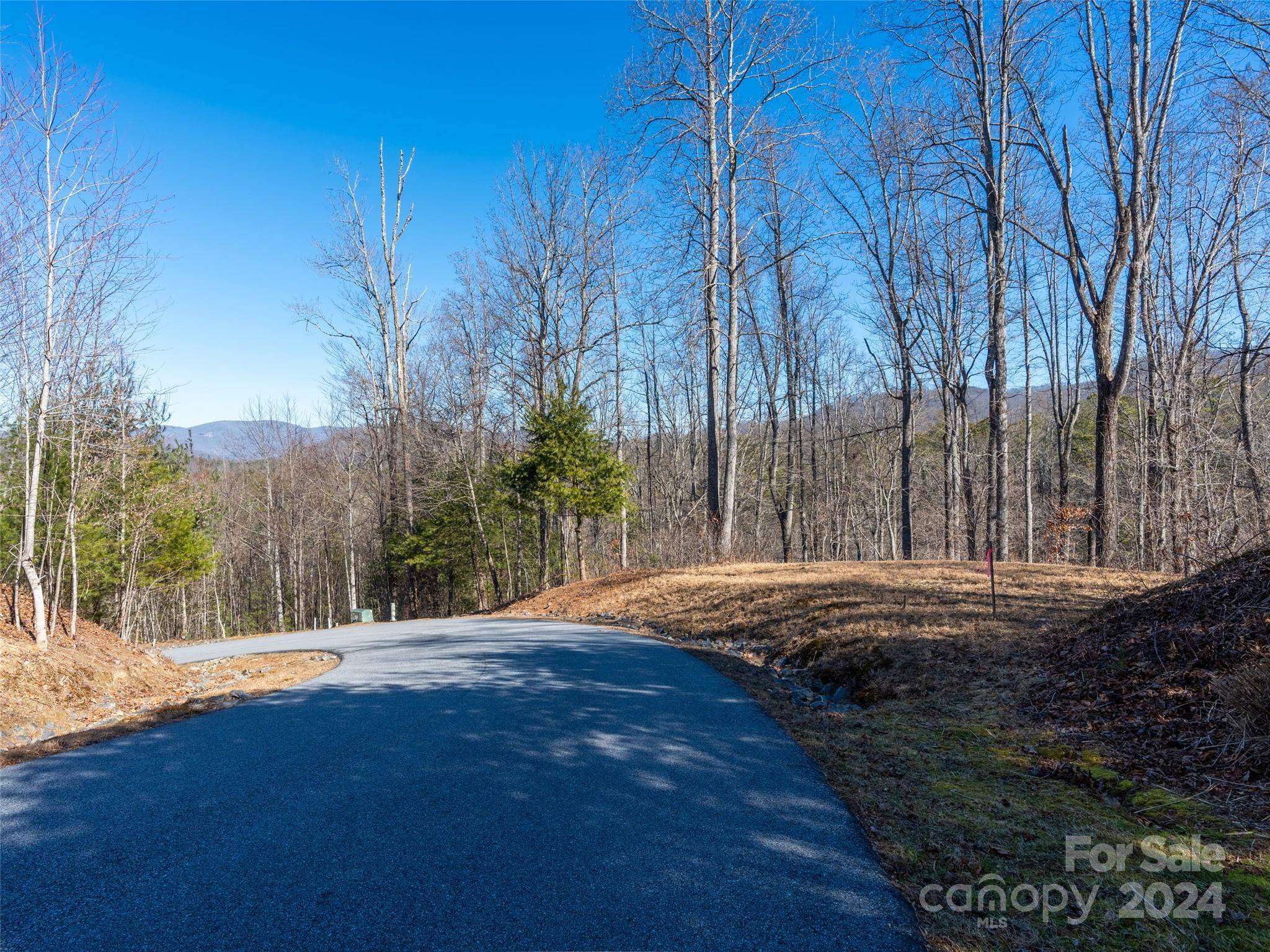 Fairview, NC 28730,74 Sovereign LN