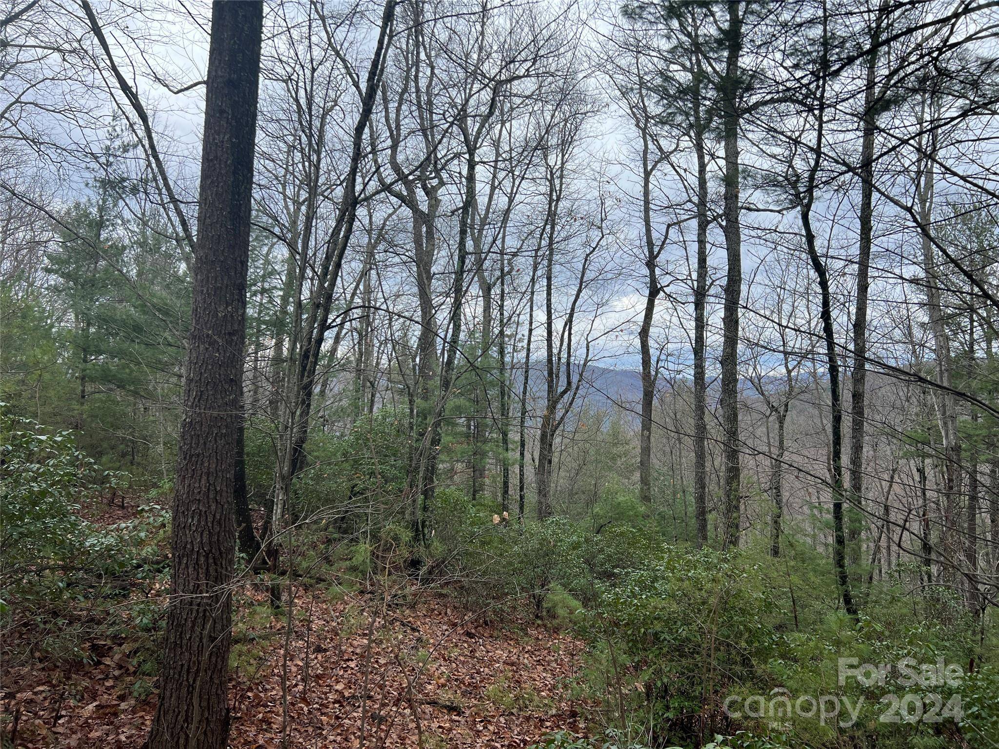 Purlear, NC 28665,TBD Deer RUN #230