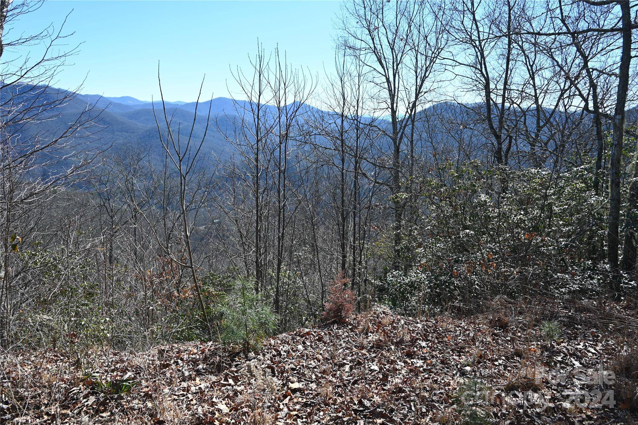 Sylva, NC 28779,00 Longview RDG #72