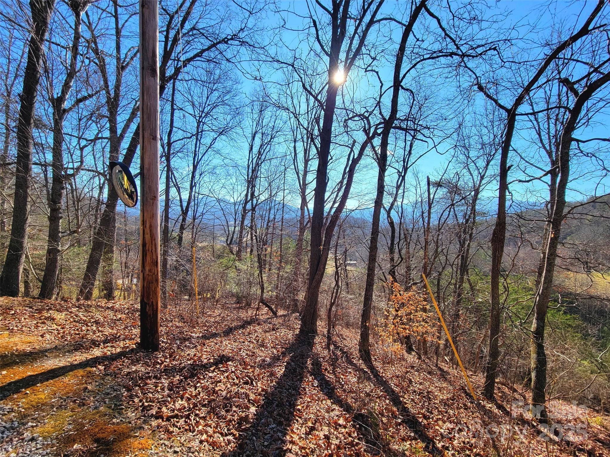 Waynesville, NC 28786,50 Feather LN #50