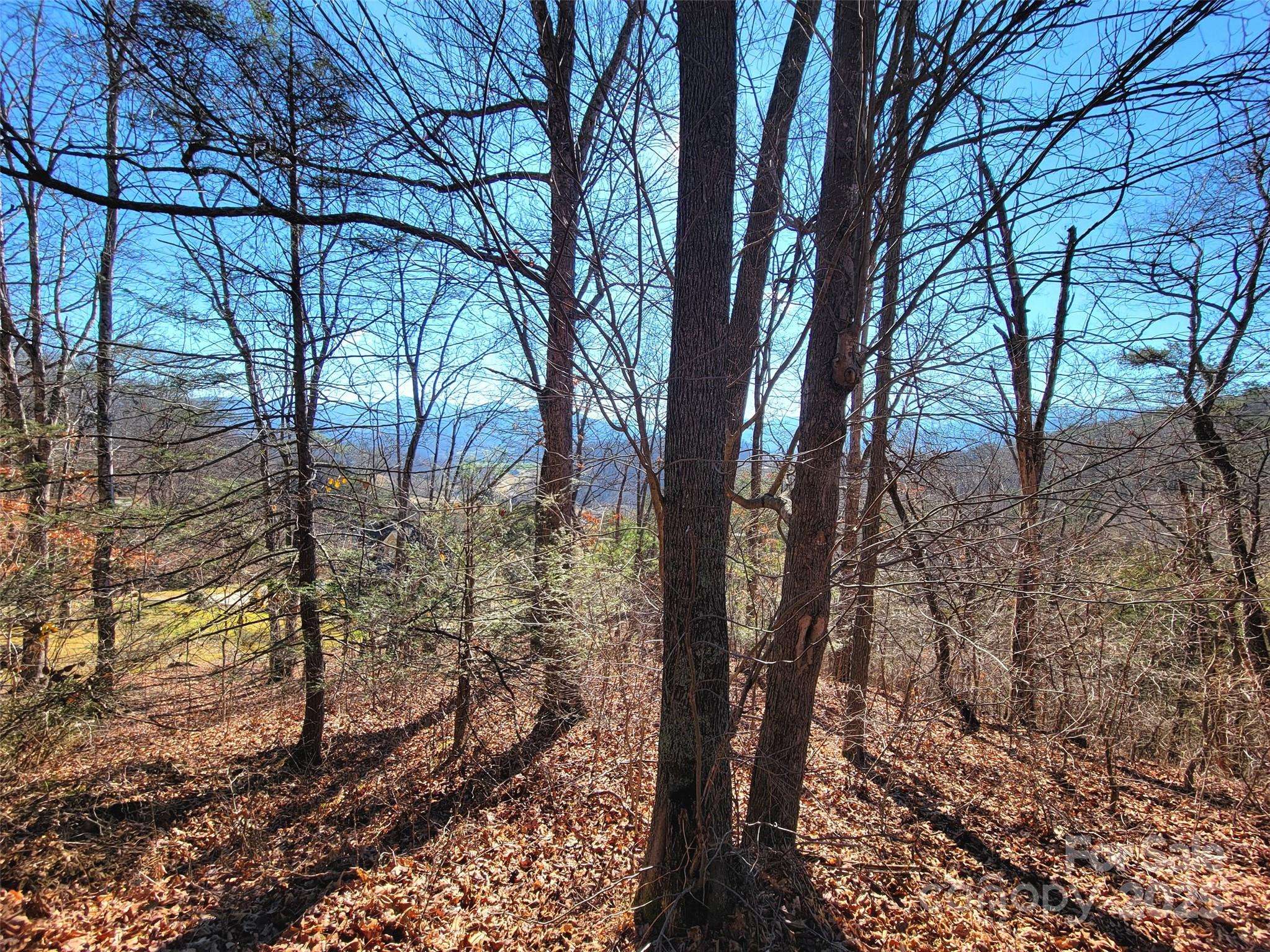 Waynesville, NC 28786,50 Feather LN #50