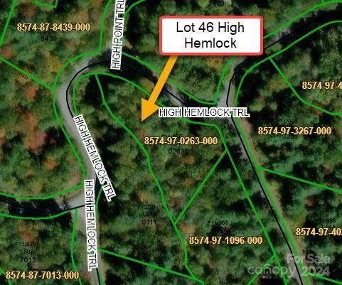 Brevard, NC 28712,L 46 High Hemlock TRL #Lot 46