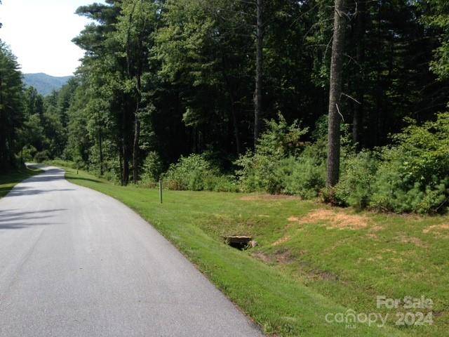 Brevard, NC 28712,L 46 High Hemlock TRL #Lot 46