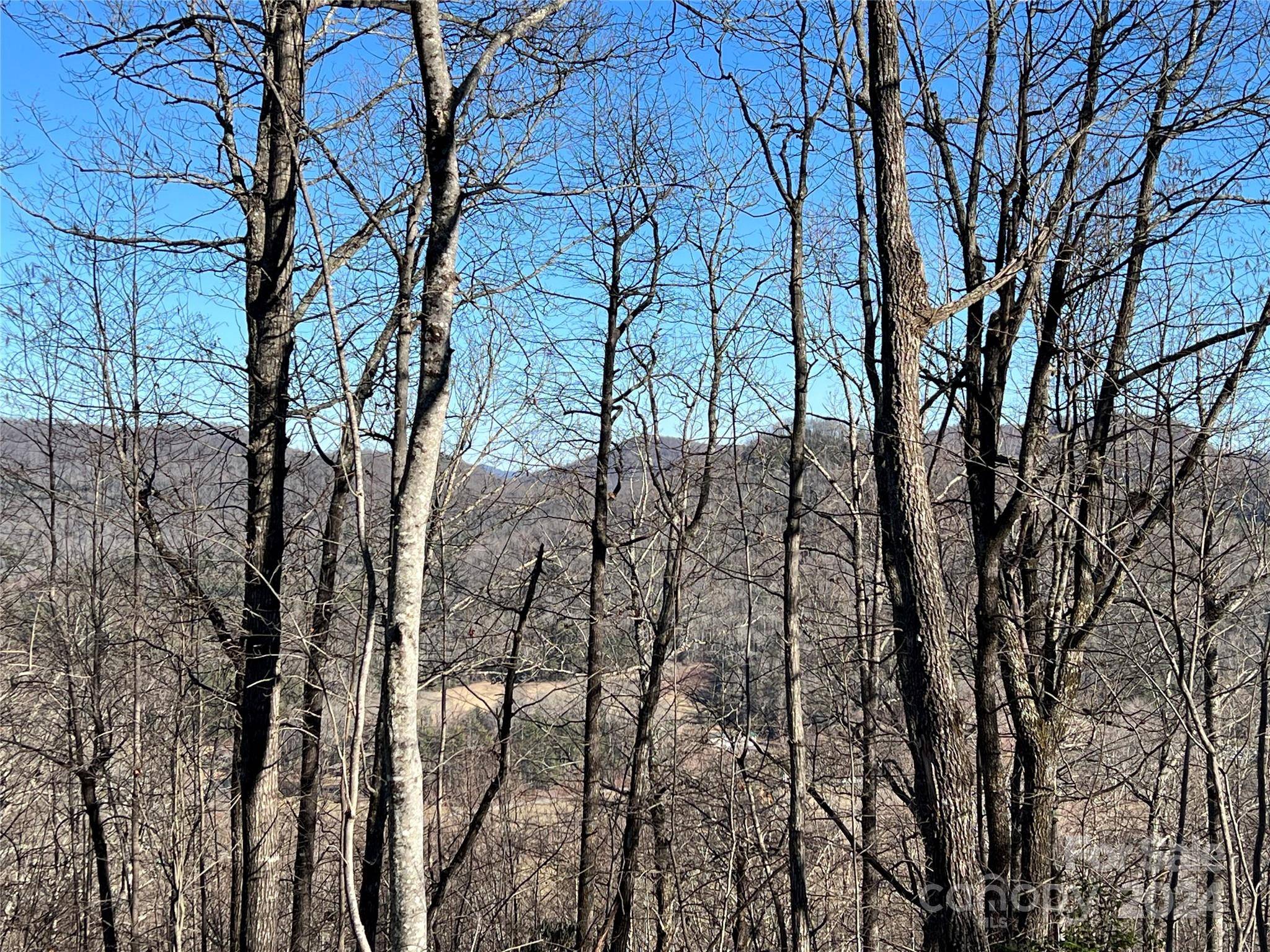 Zirconia, NC 28790,242 Black Bear Ridge TRL