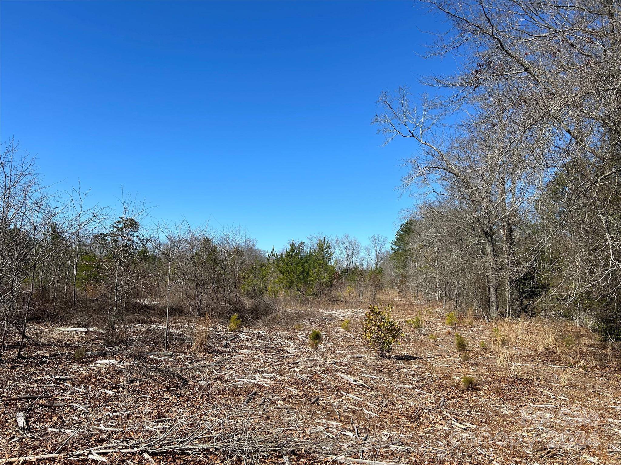 Kershaw, SC 29067,9.3 AC -Lot 7 Buffalo Creek RD