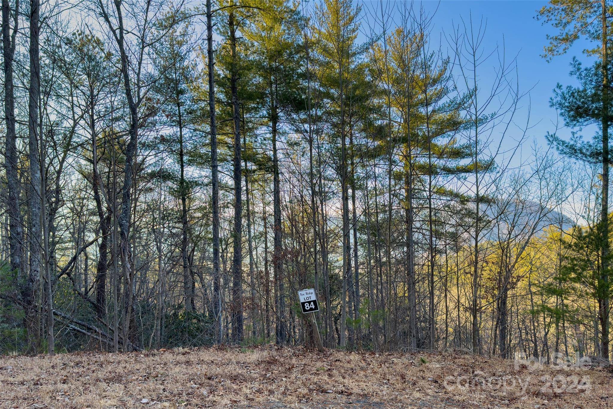 Marion, NC 28752,LOT #84 Little Fox RUN