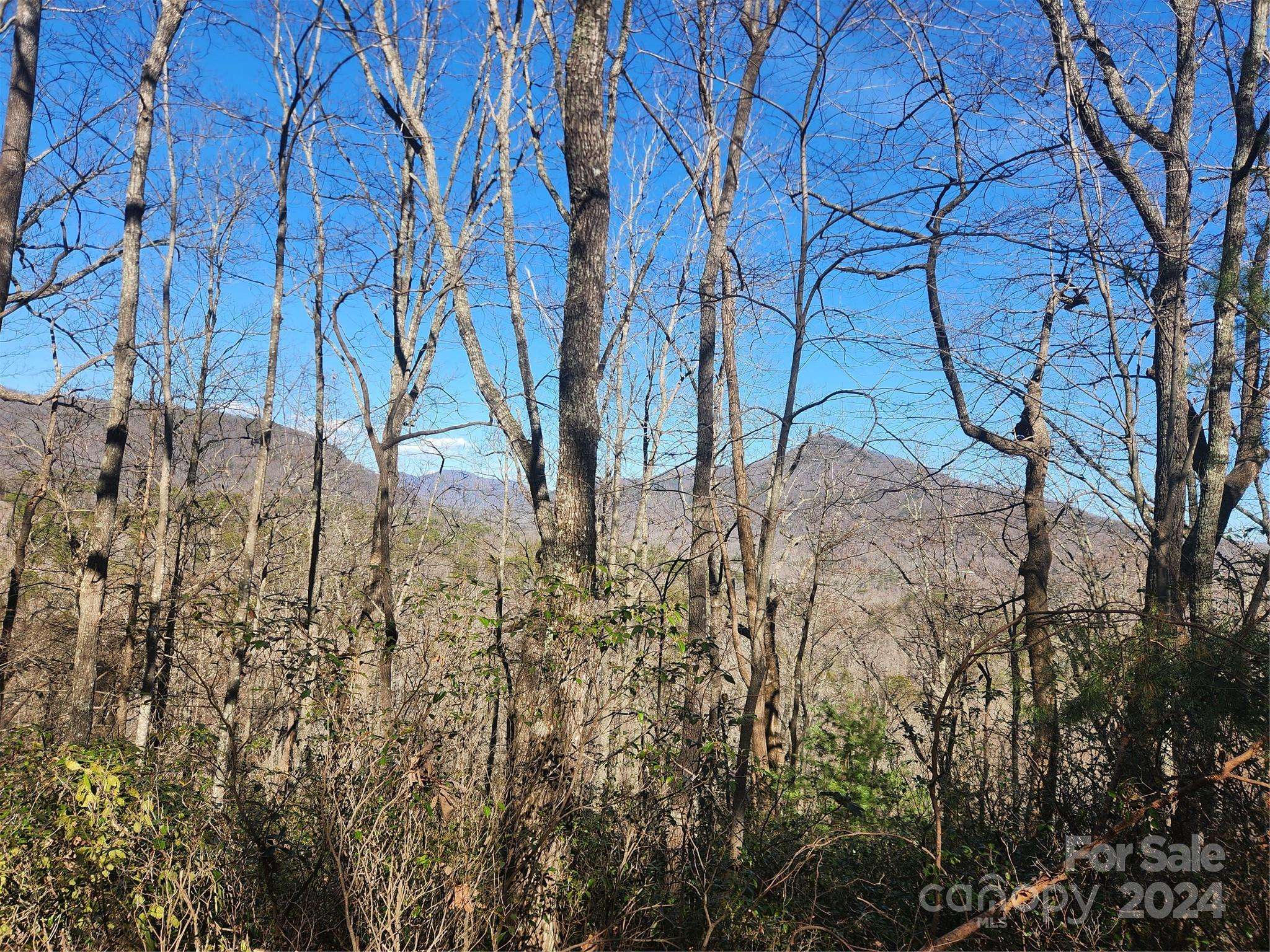 Lake Lure, NC 28746,Lot 88 Bolt RD