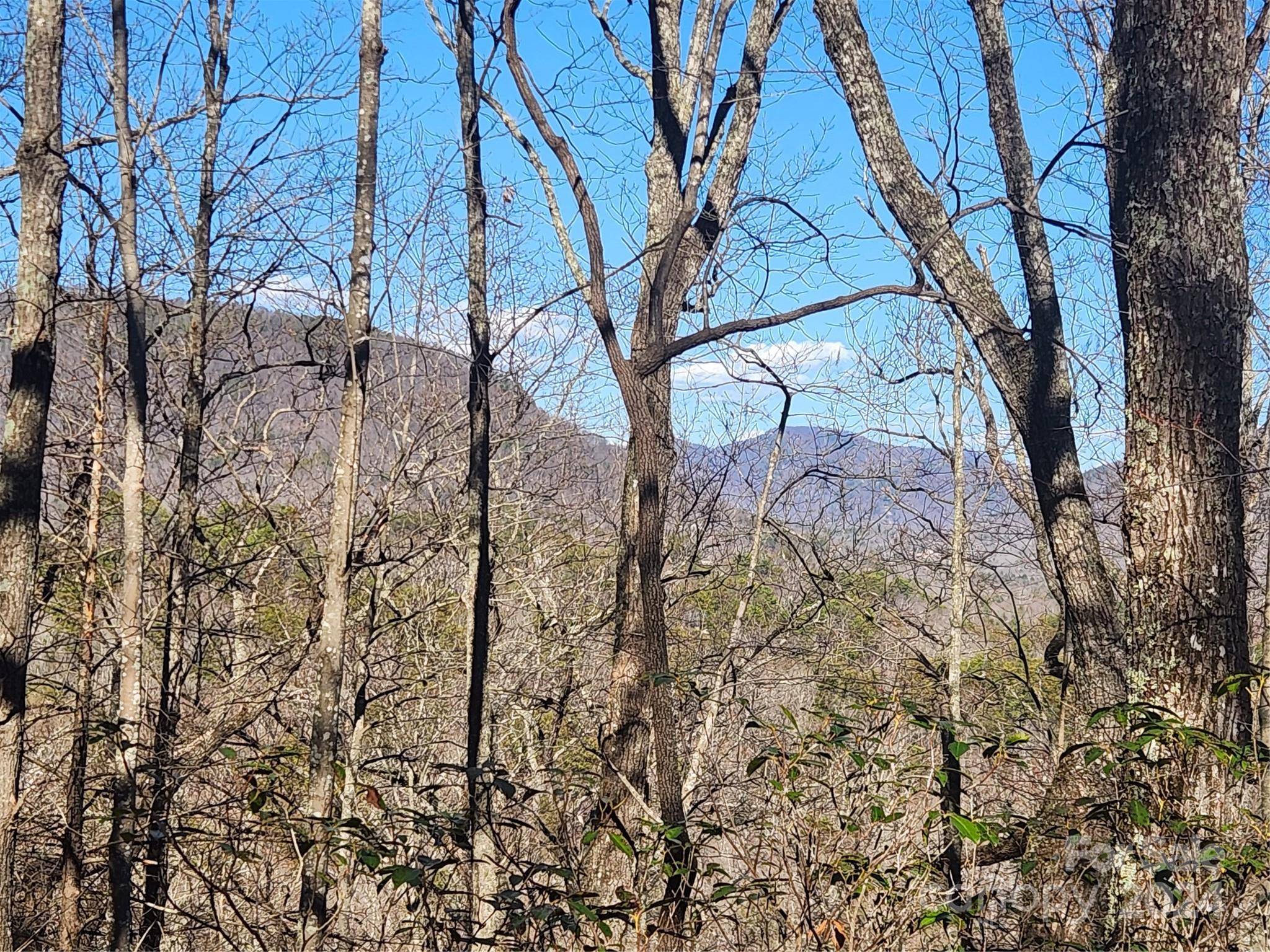 Lake Lure, NC 28746,Lot 88 Bolt RD