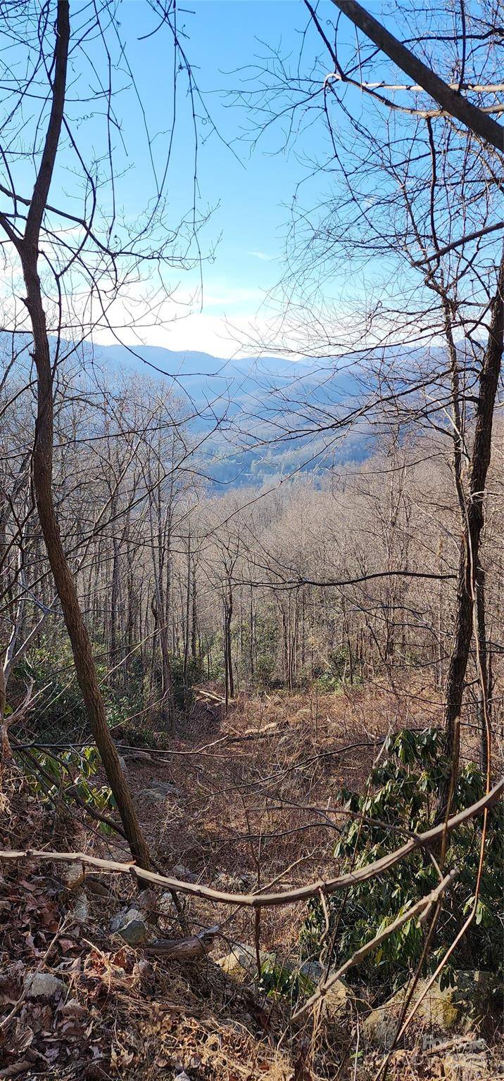 Black Mountain, NC 28711,9999 Still Spring RD #Lot 4