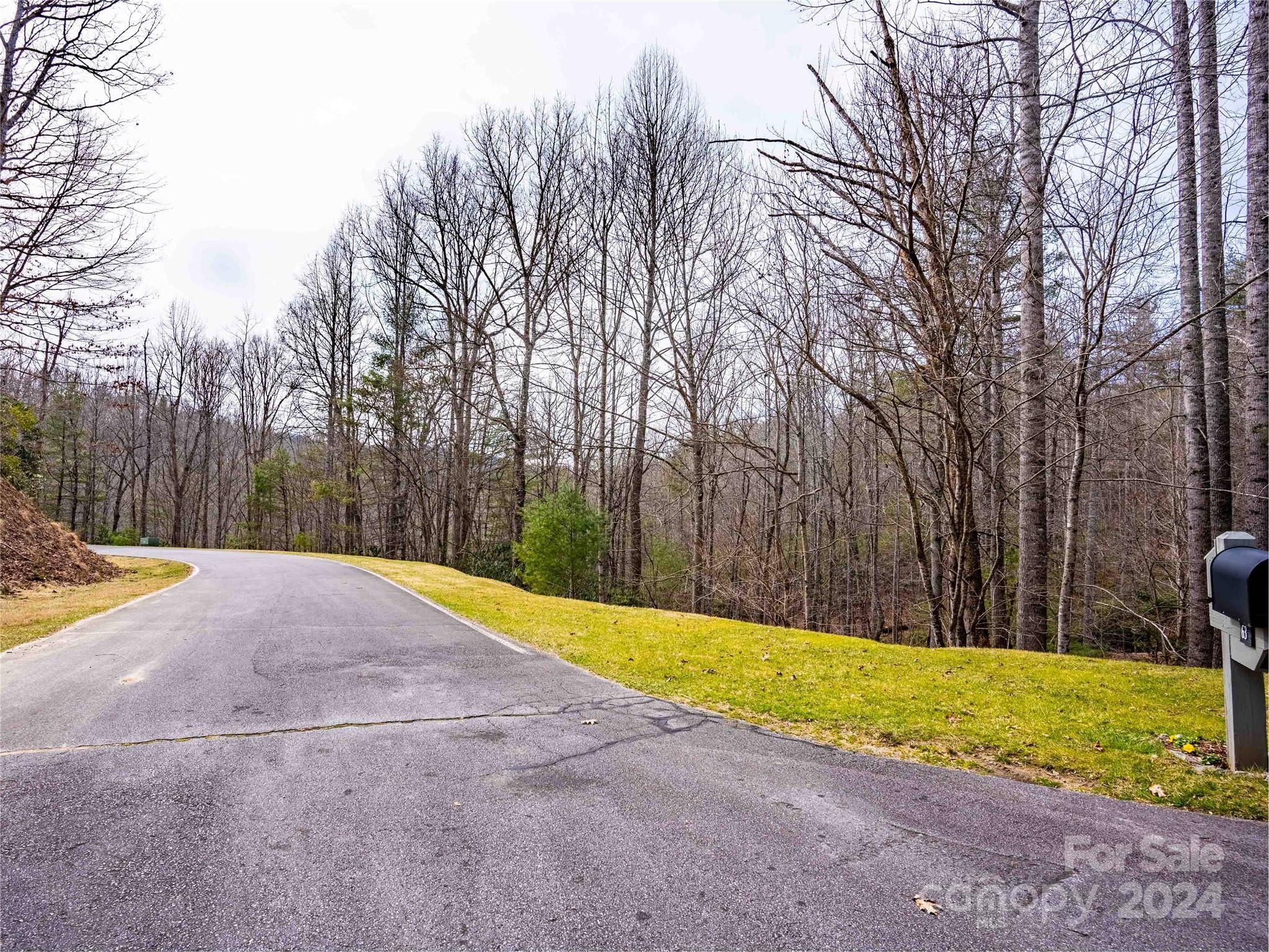 Hendersonville, NC 28739,203 Pinemount CT #312