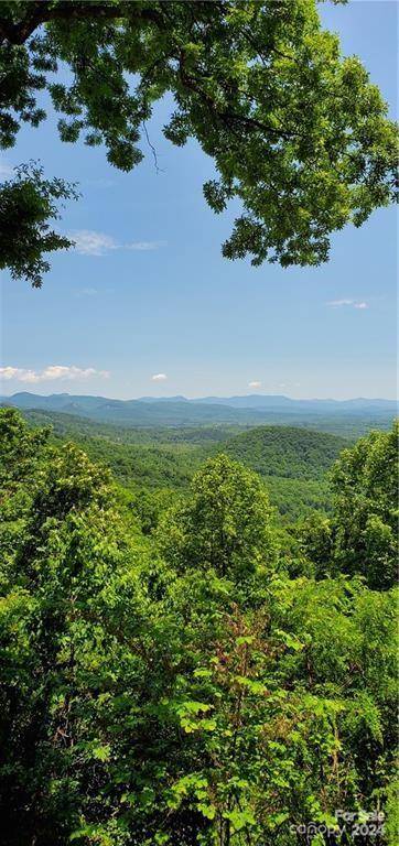 Union Mills, NC 28167,00 Pinnacle Pkwy #5 & 7
