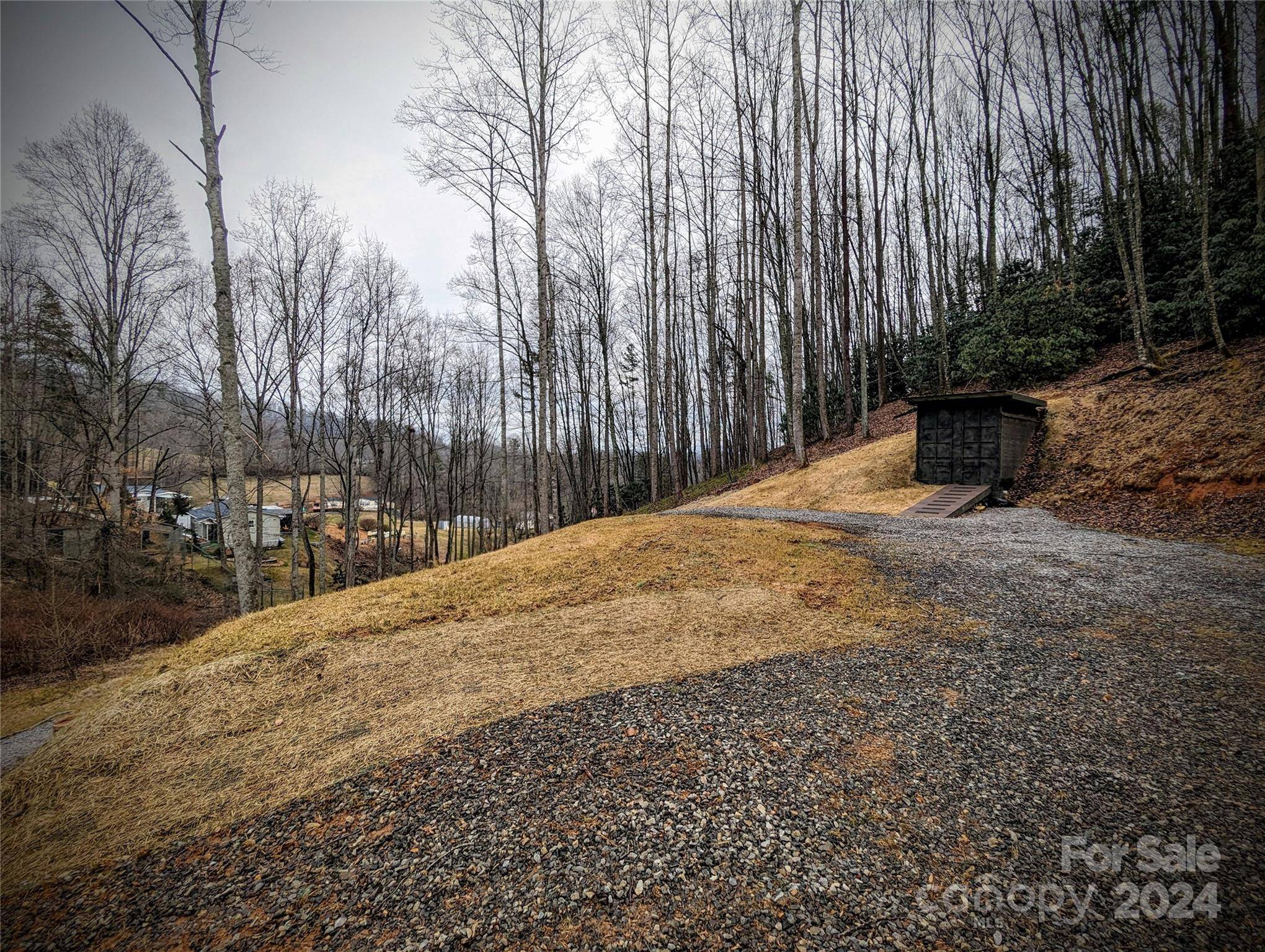 Candler, NC 28715,99999 Poplar Cove RD