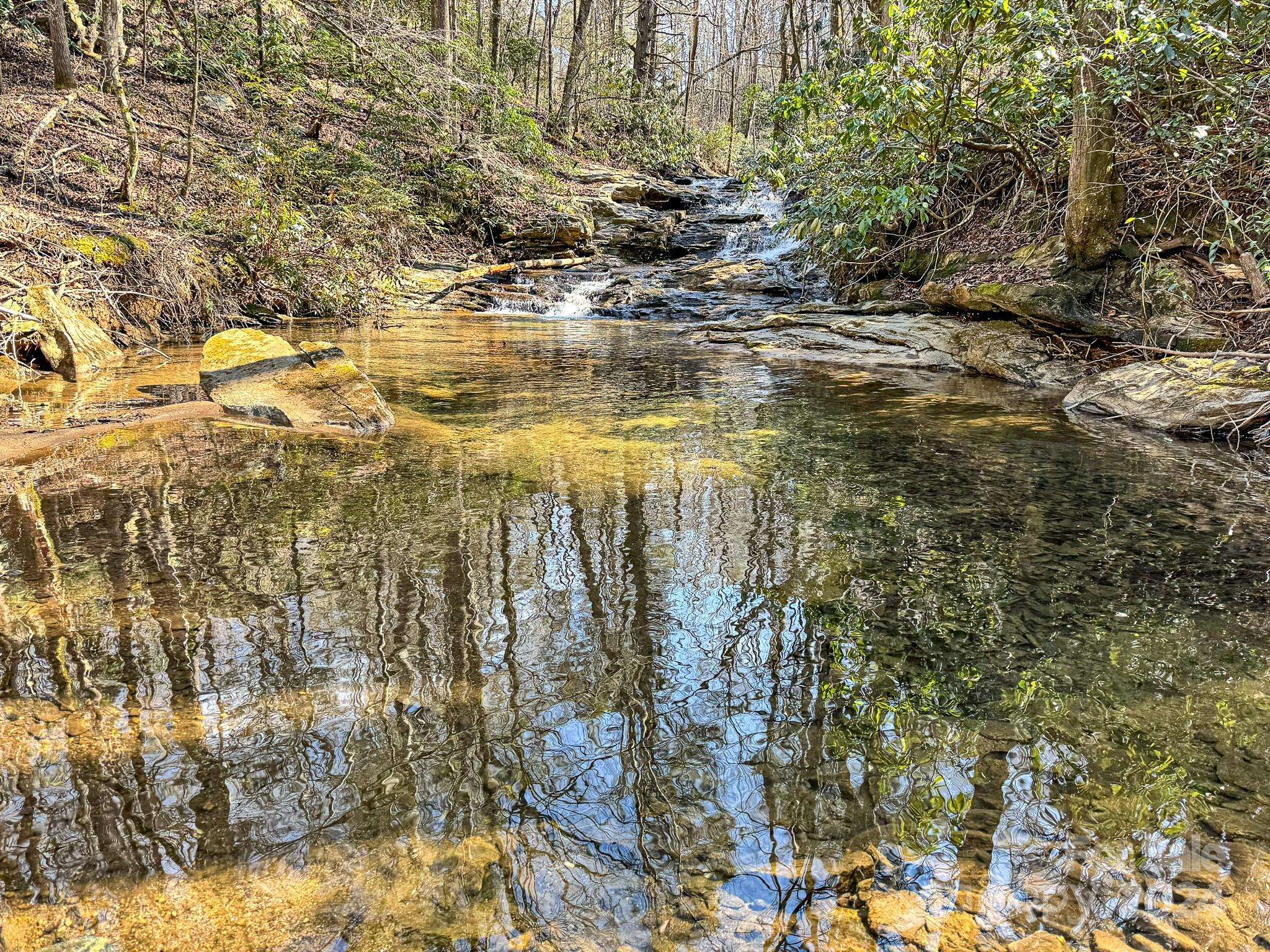 Saluda, NC 28773,0000 Rixhaven DR #Lot 6 & 6a