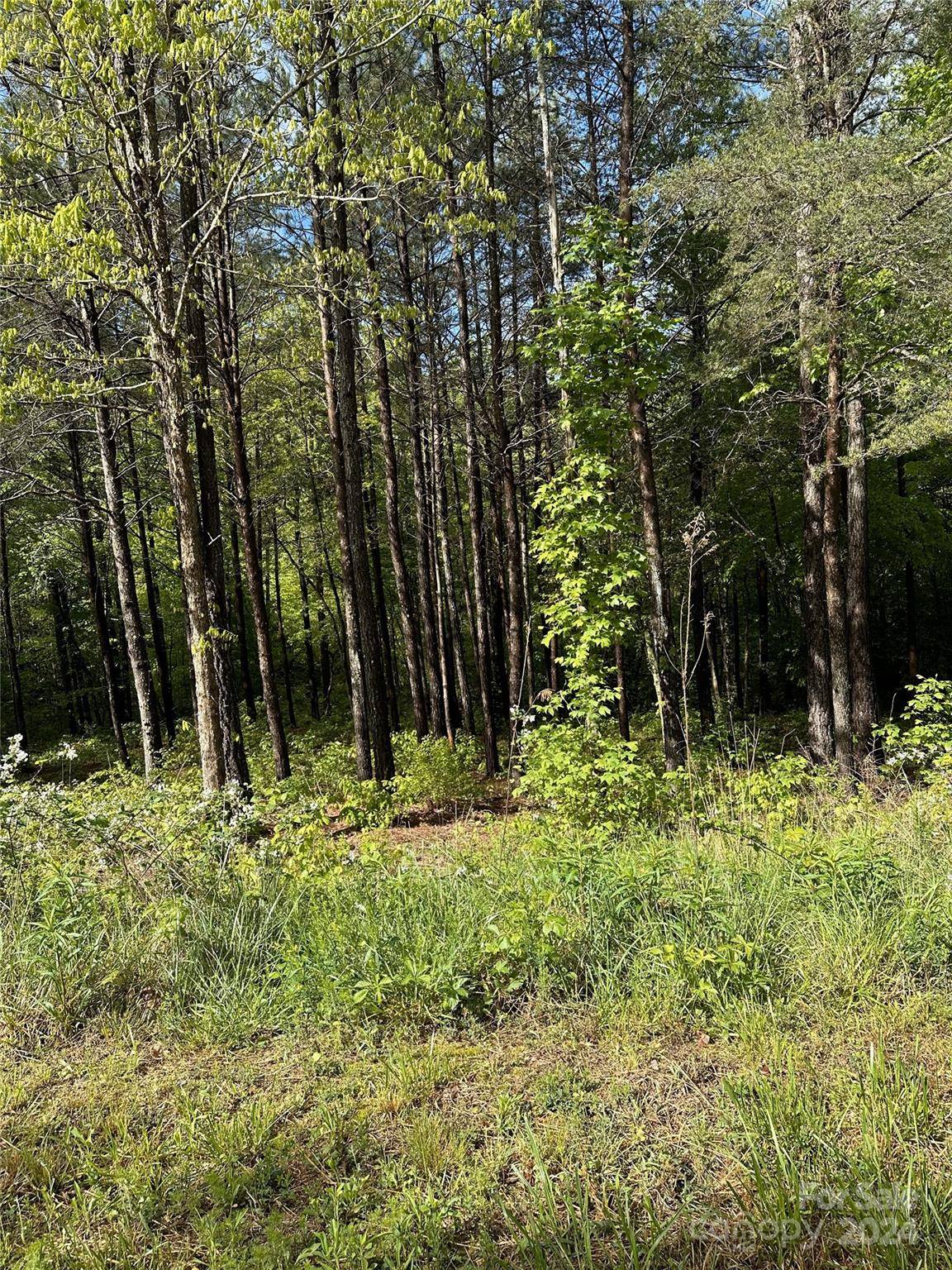 Union Mills, NC 28167,000 Shire LN