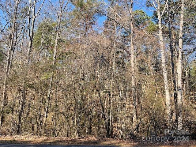 Hickory, NC 28601,Lot 5 Cedar Forest LOOP #5