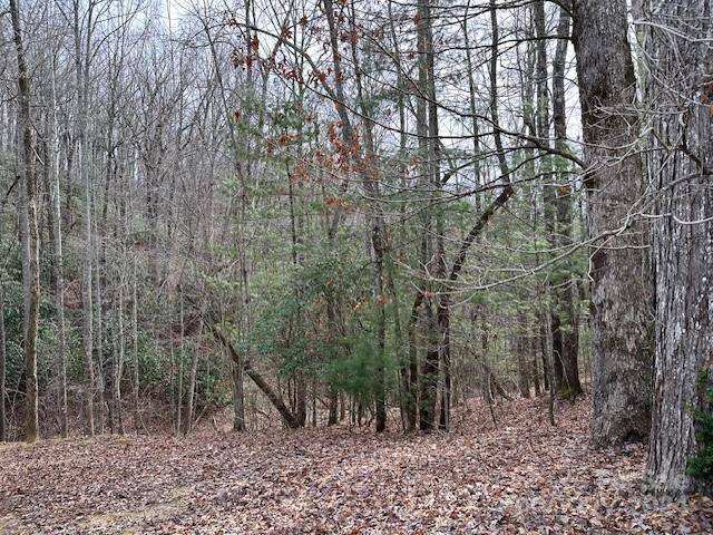 Brevard, NC 28712,TBD Dotsuwa CT #L130&131-U26