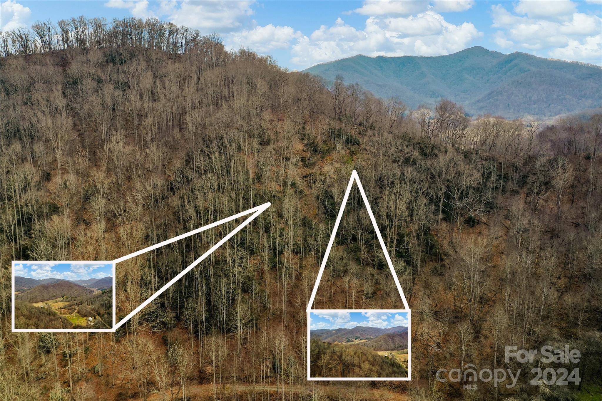 Clyde, NC 28721,Lot 18 Wayward Cove Road, Wayward CV