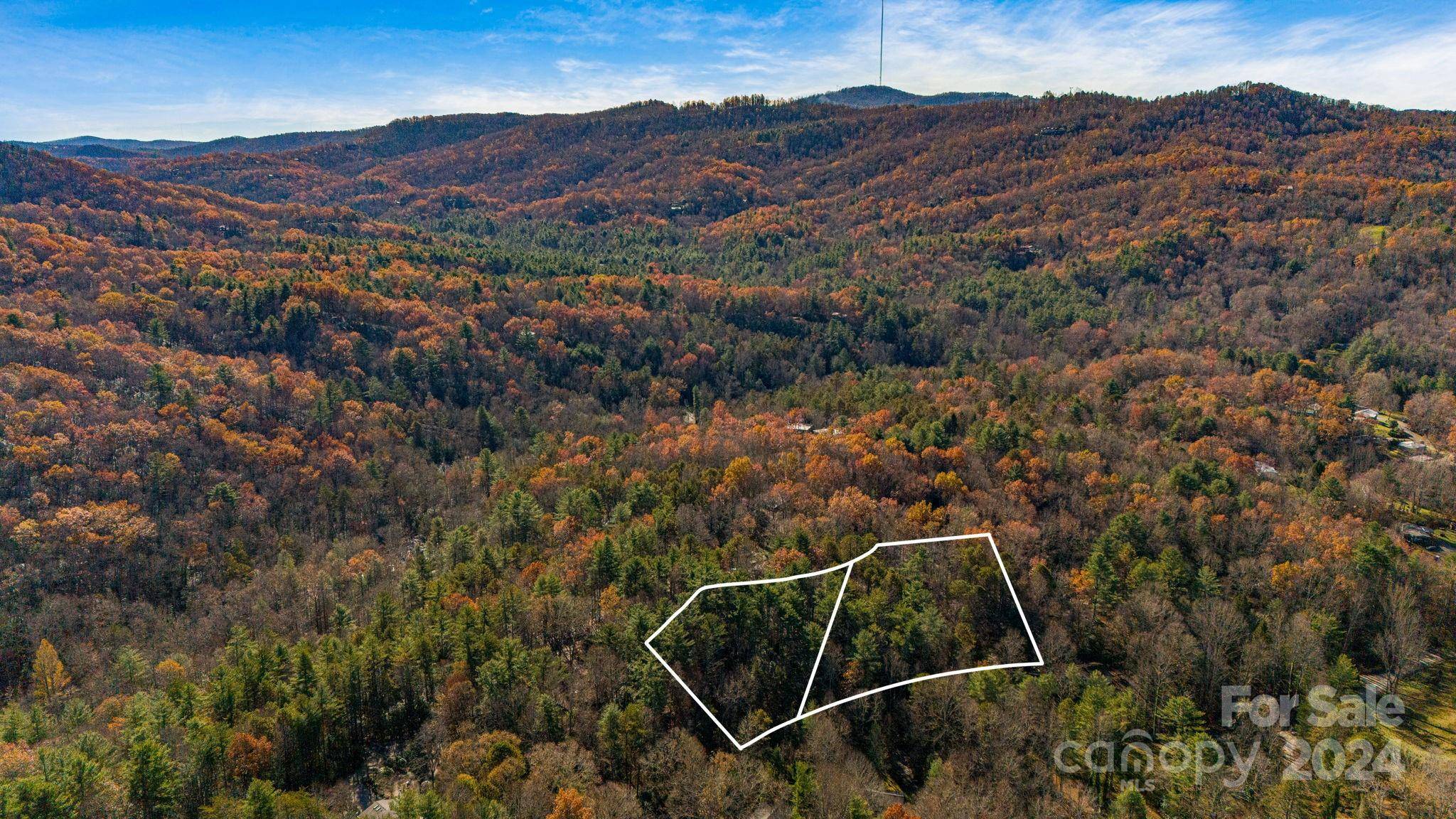 Pisgah Forest, NC 28768,TBD Breezewood CIR #17 & 18