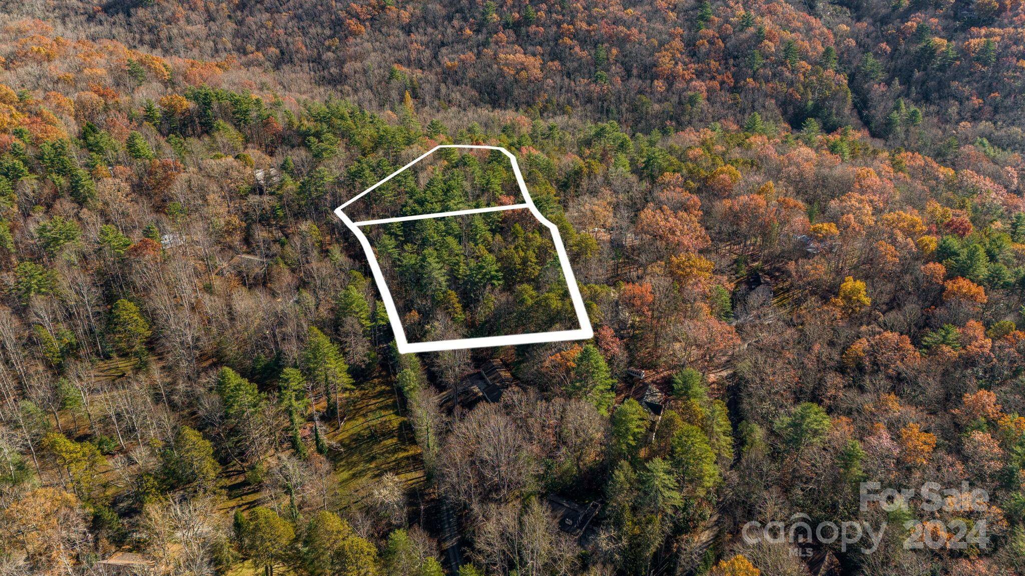 Pisgah Forest, NC 28768,TBD Breezewood CIR #17 & 18