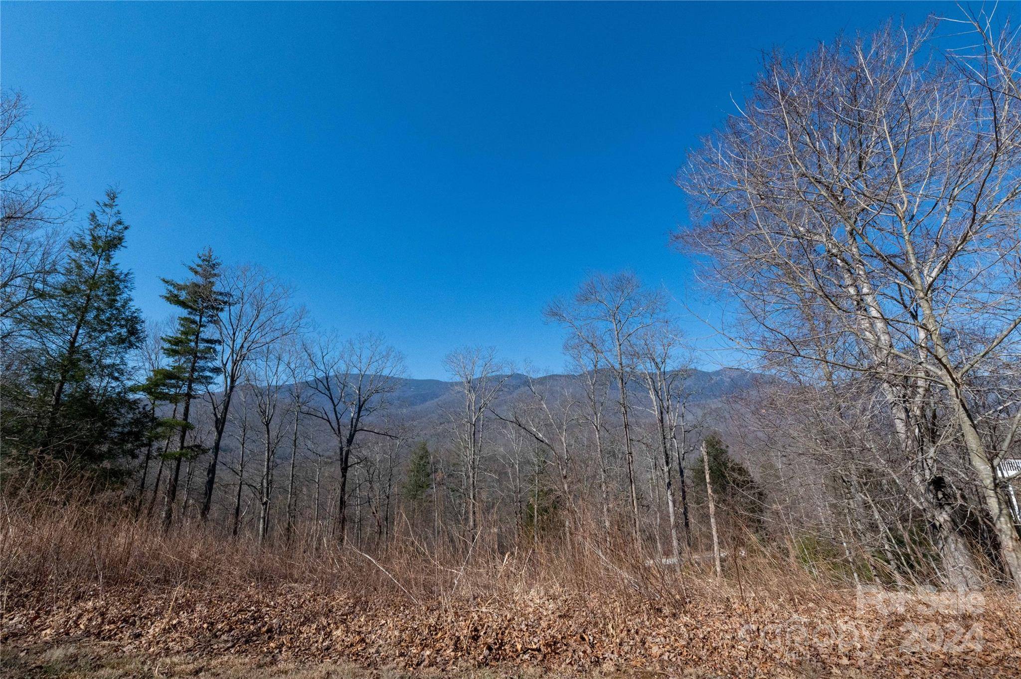 Burnsville, NC 28714,000 Mt. Mitchell DR