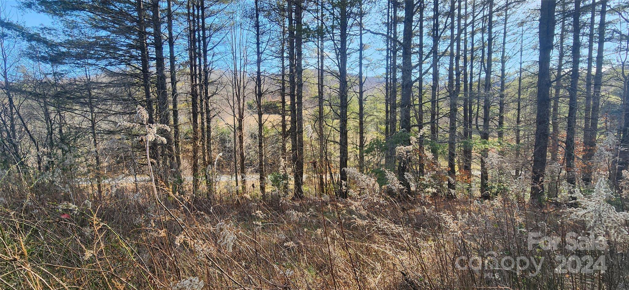 Balsam Grove, NC 28708,2592 Tanasee Gap RD