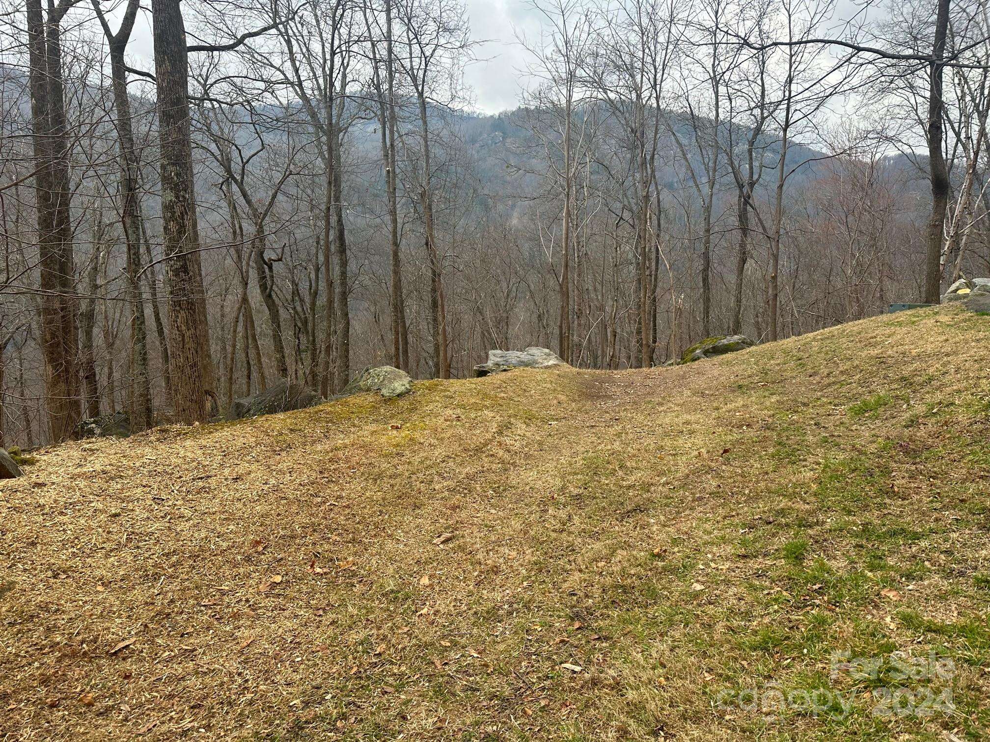 Chimney Rock, NC 28720,0000 Cascada Vista DR