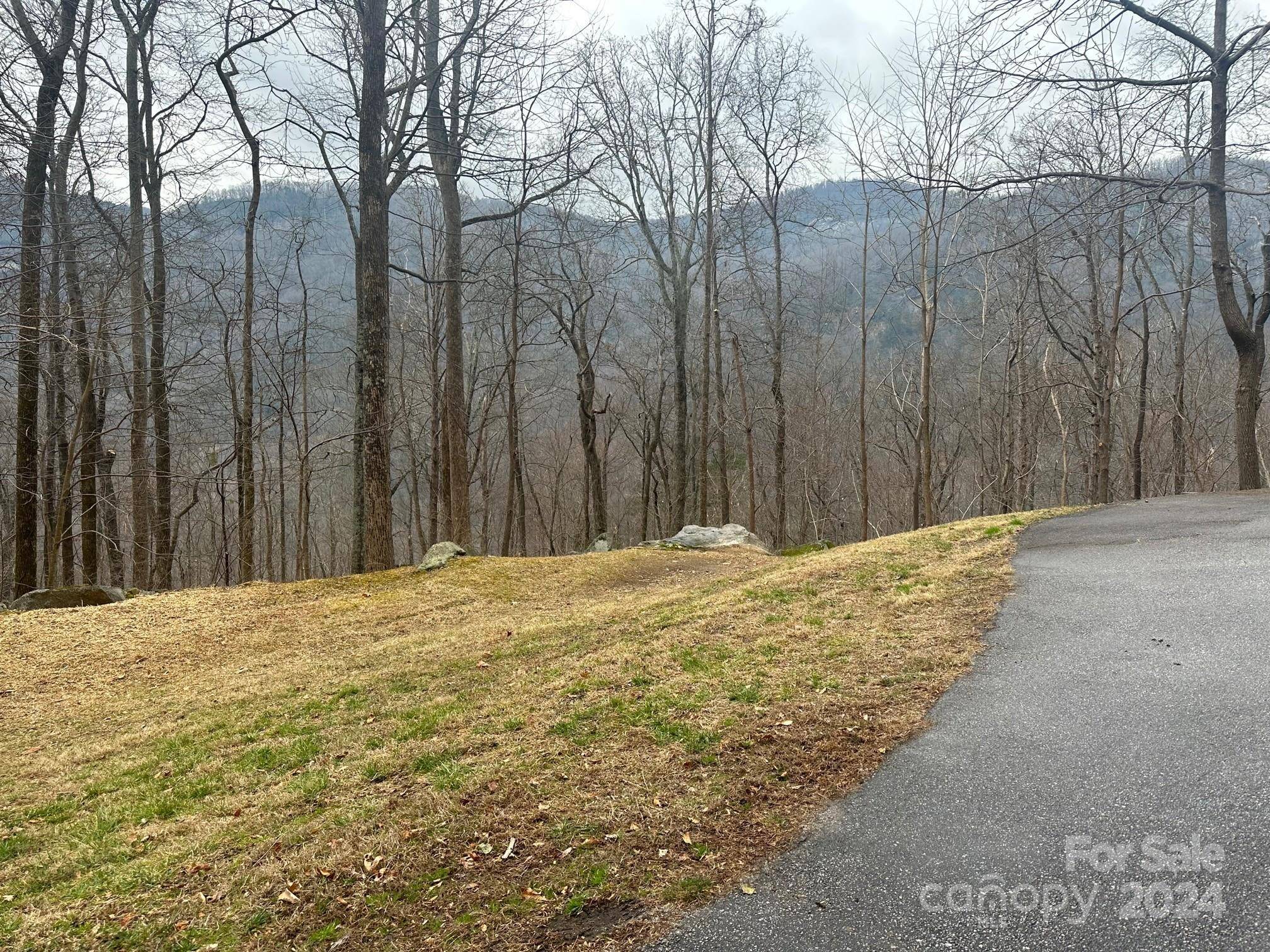 Chimney Rock, NC 28720,0000 Cascada Vista DR