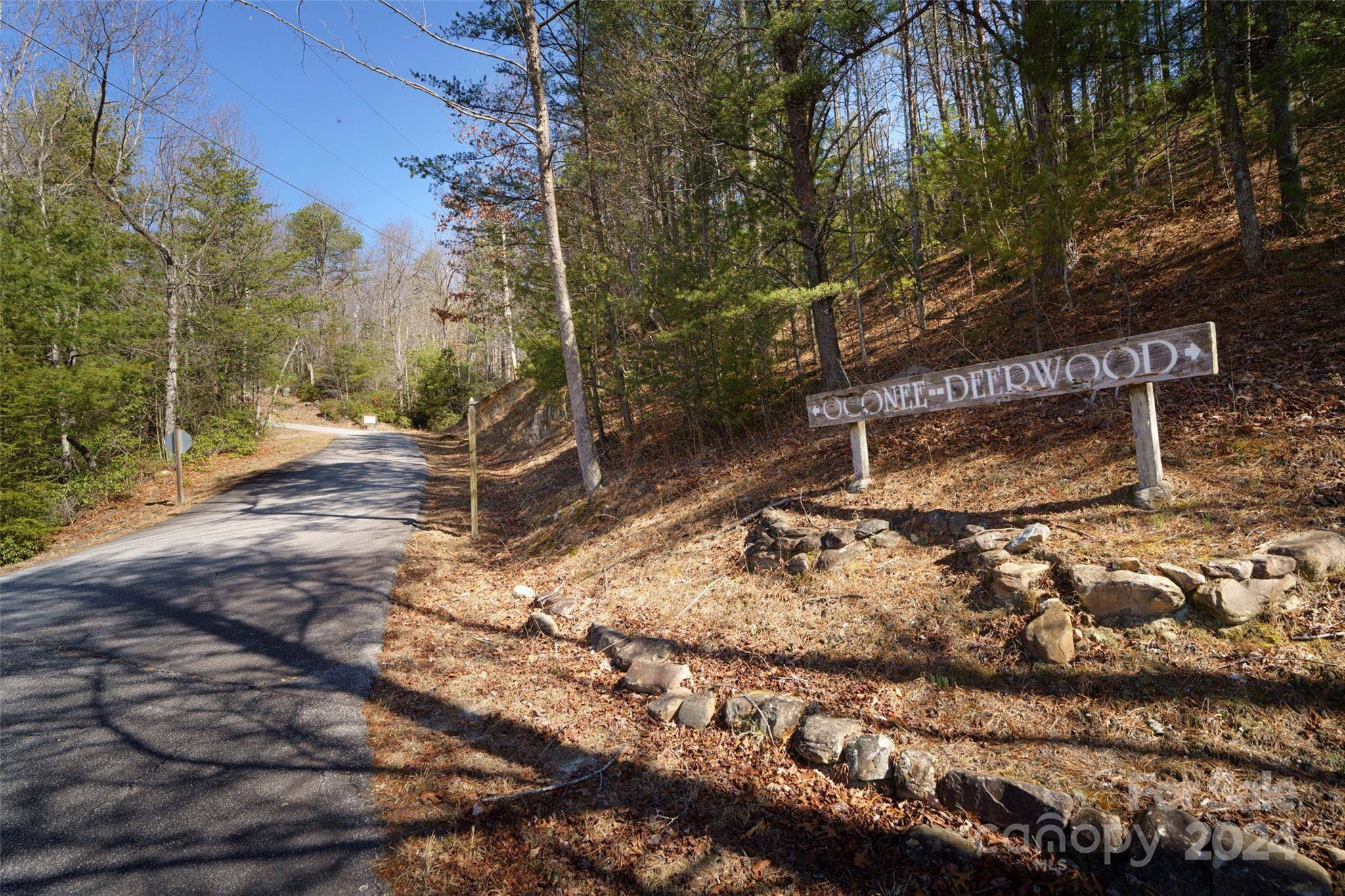 Marion, NC 28752,Lot 16-C and 17-C Nantahala WAY