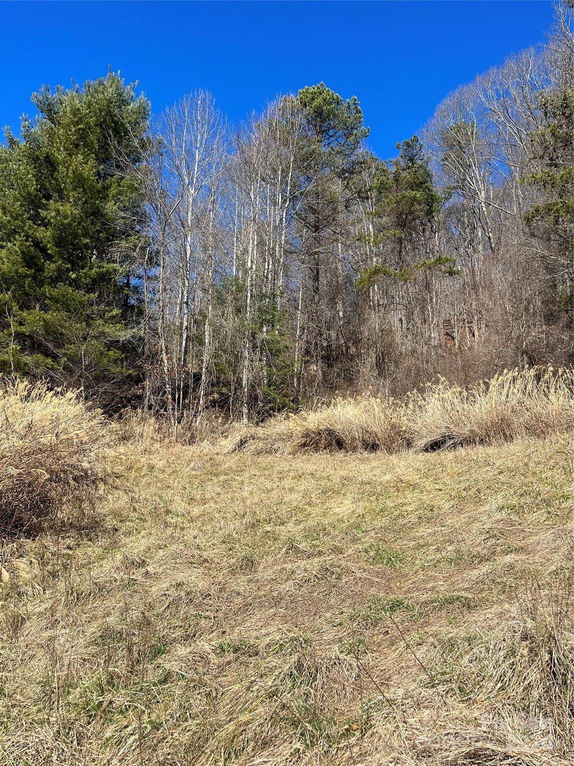 Marshall, NC 28753,1010 Fisher Branch RD
