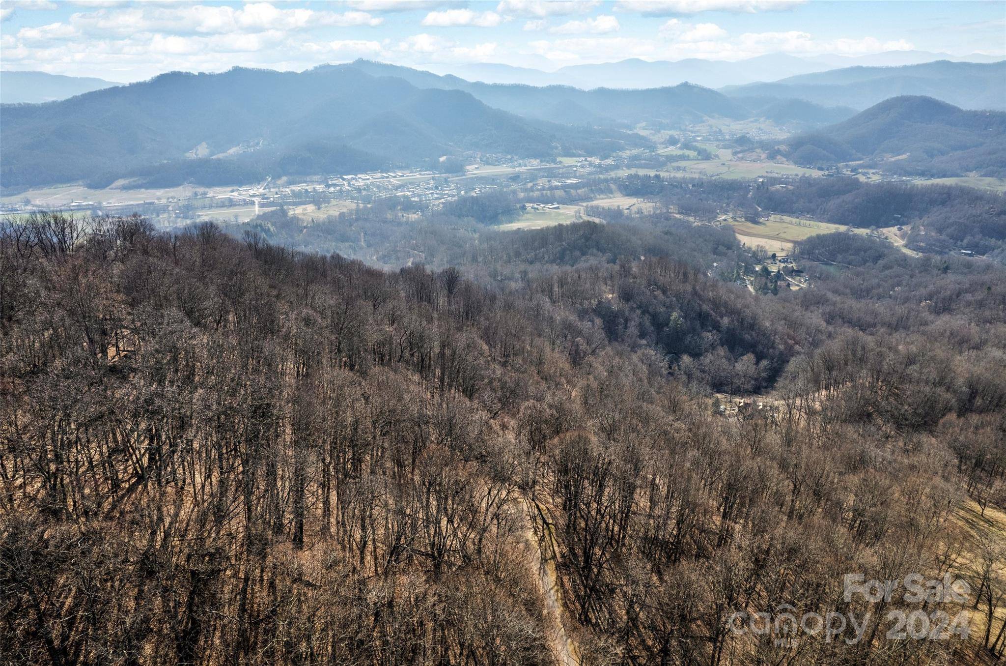 Waynesville, NC 28785,00 Purple Martin LN