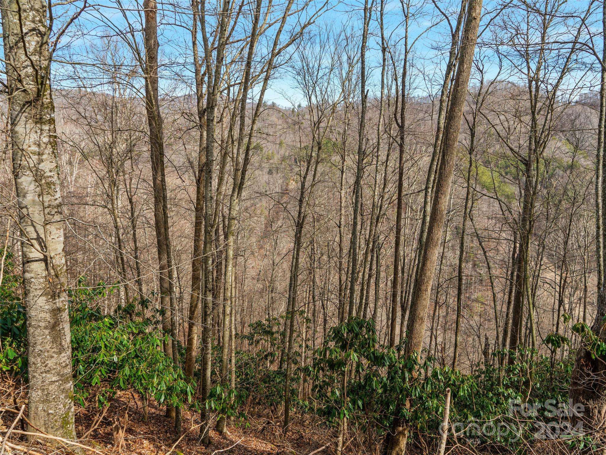 Burnsville, NC 28714,Lot 21 Sugarloaf Mountain EST