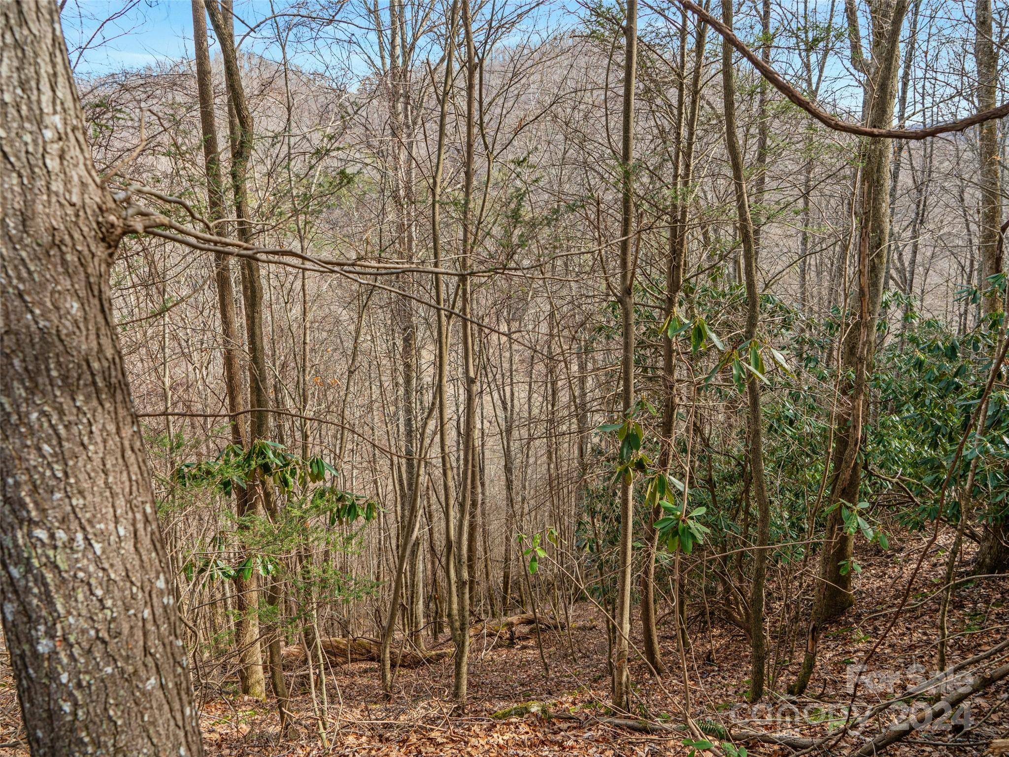 Burnsville, NC 28714,Lot 21 Sugarloaf Mountain EST