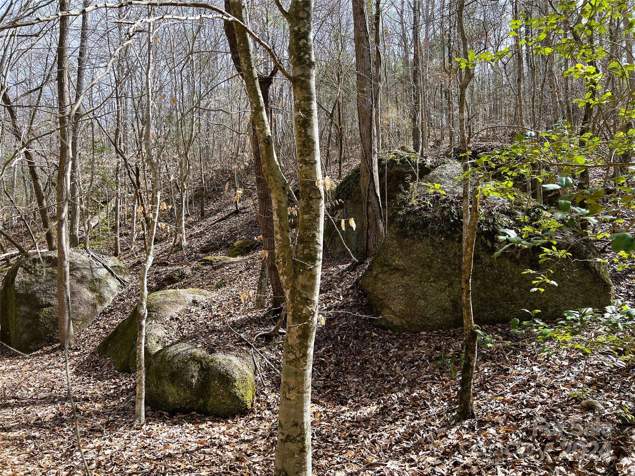 Rockingham, NC 28379,166 Wentworth PASS