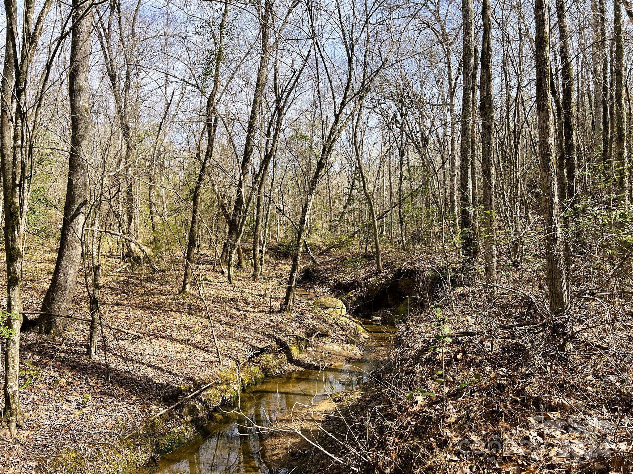 Rockingham, NC 28379,166 Wentworth PASS