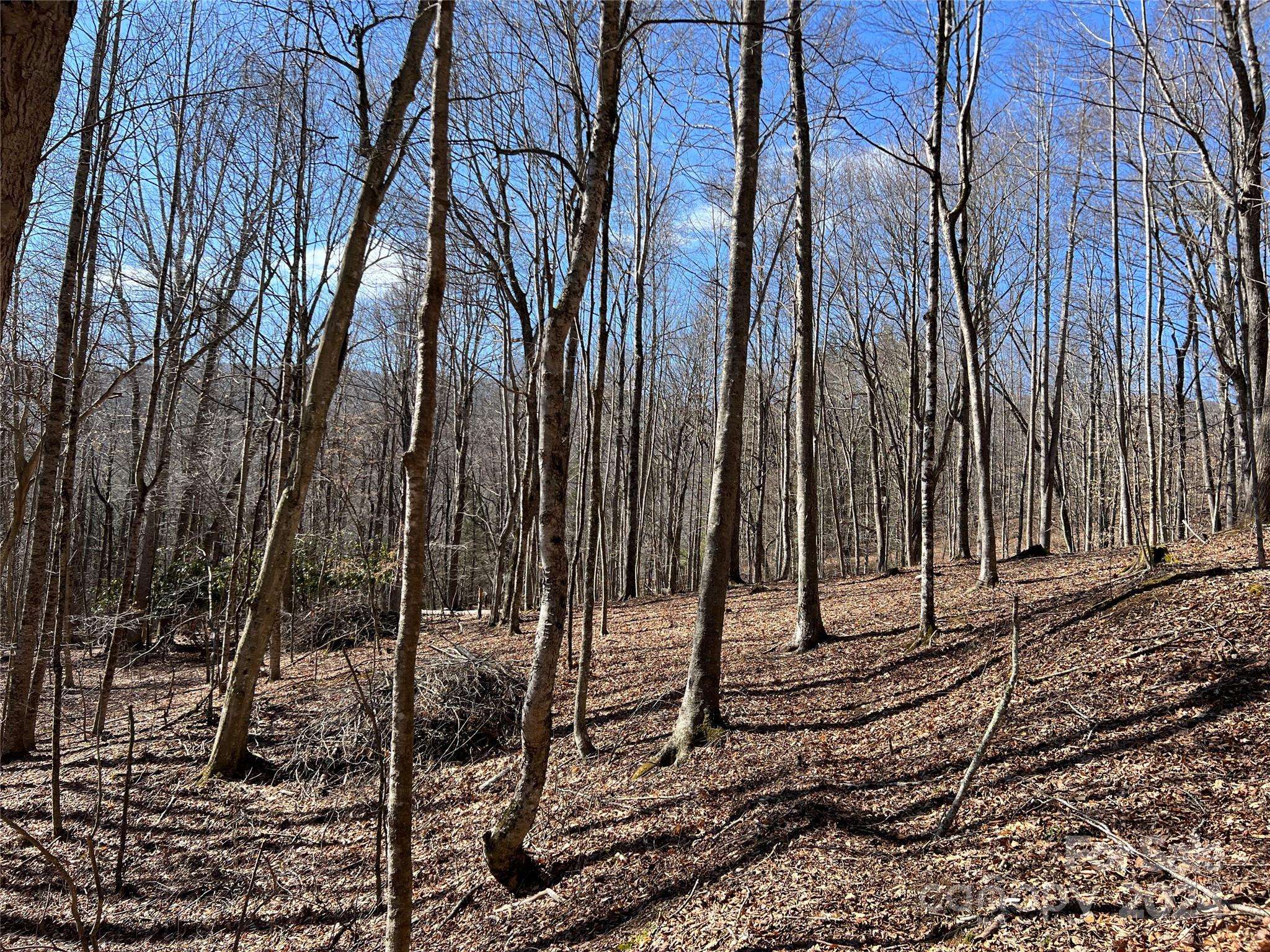 Boone, NC 28607,TBD (Lot 3) Poplar Forest DR