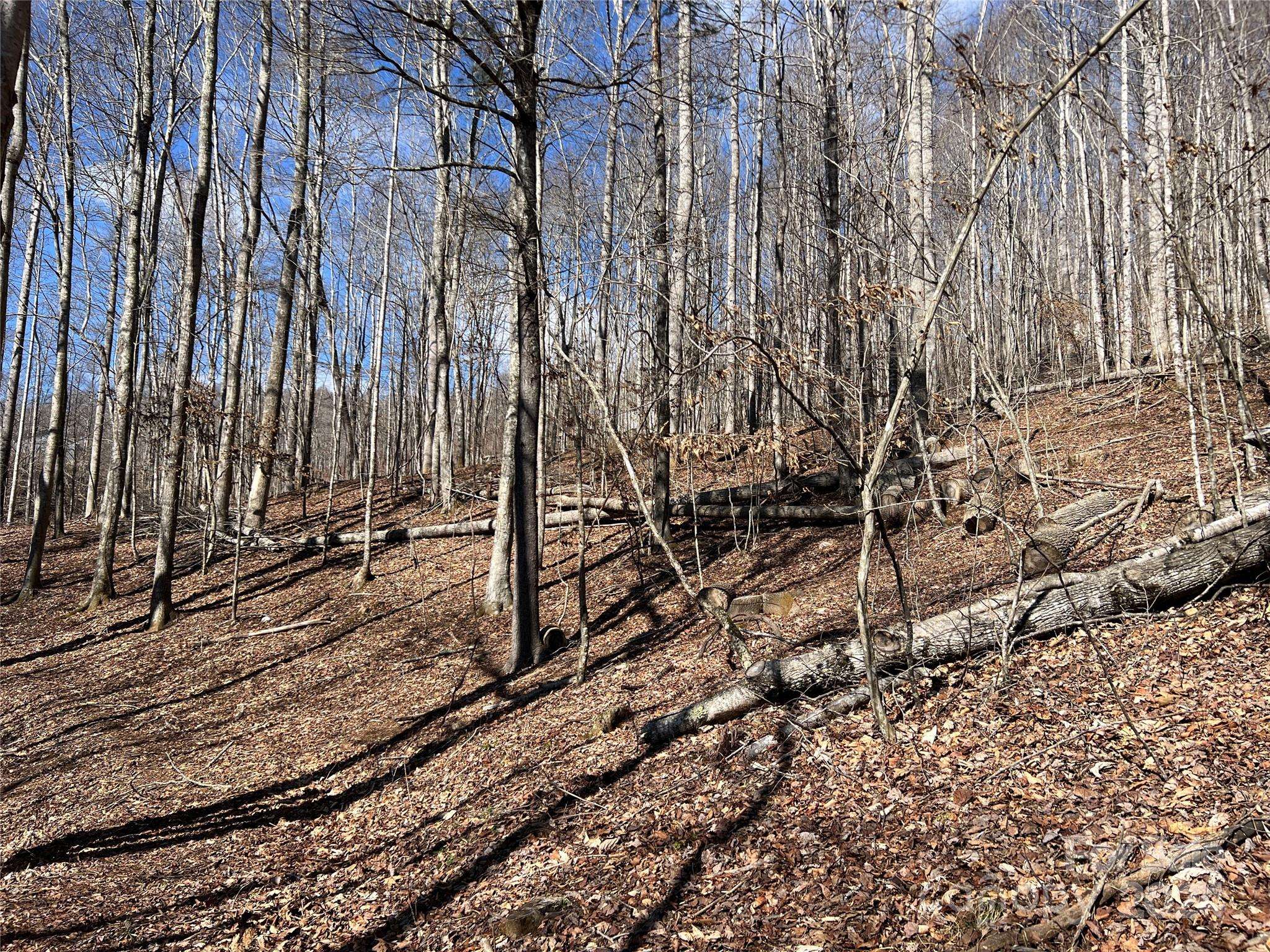 Boone, NC 28607,TBD (Lot 3) Poplar Forest DR