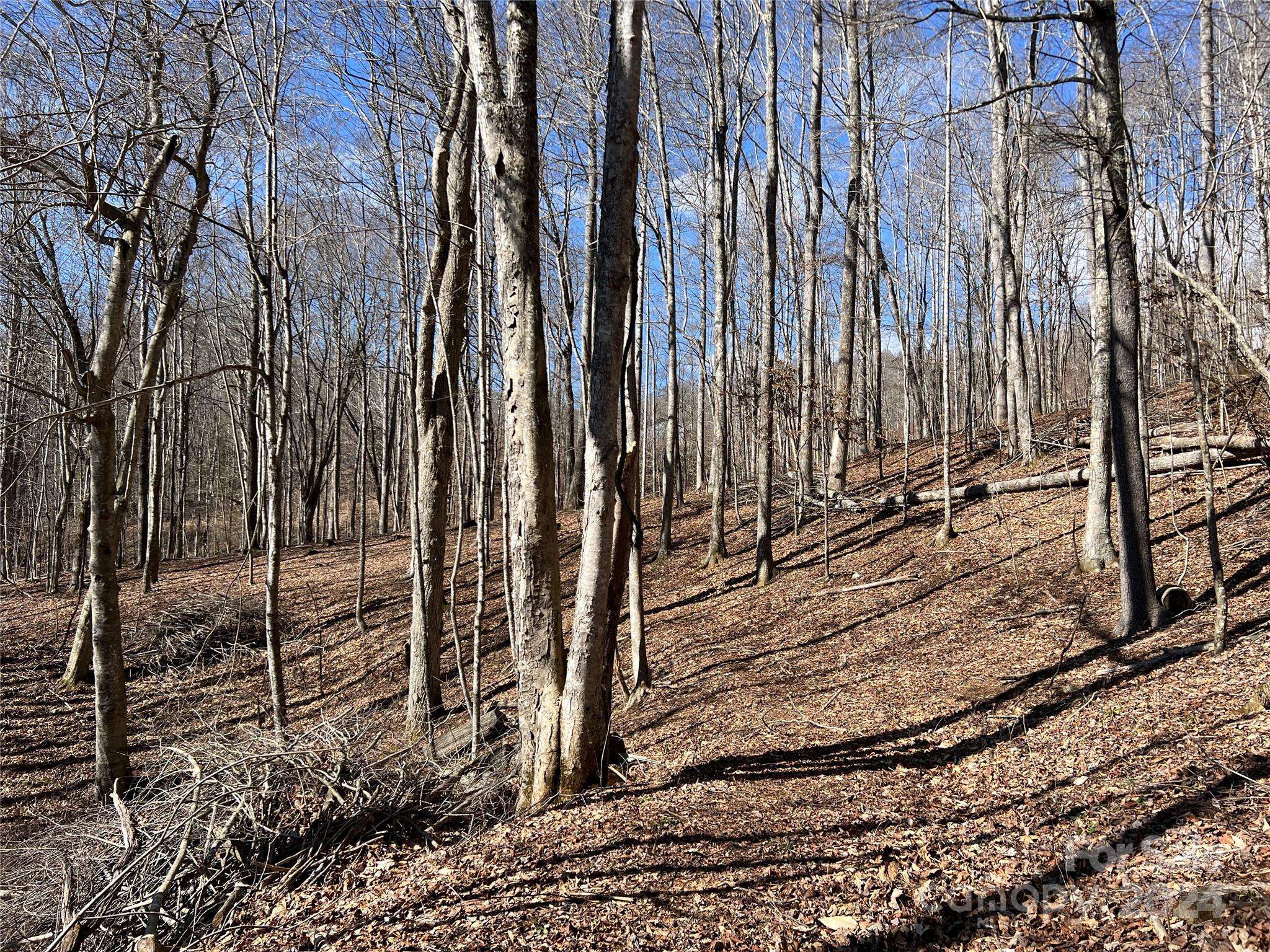 Boone, NC 28607,TBD (Lot 3) Poplar Forest DR